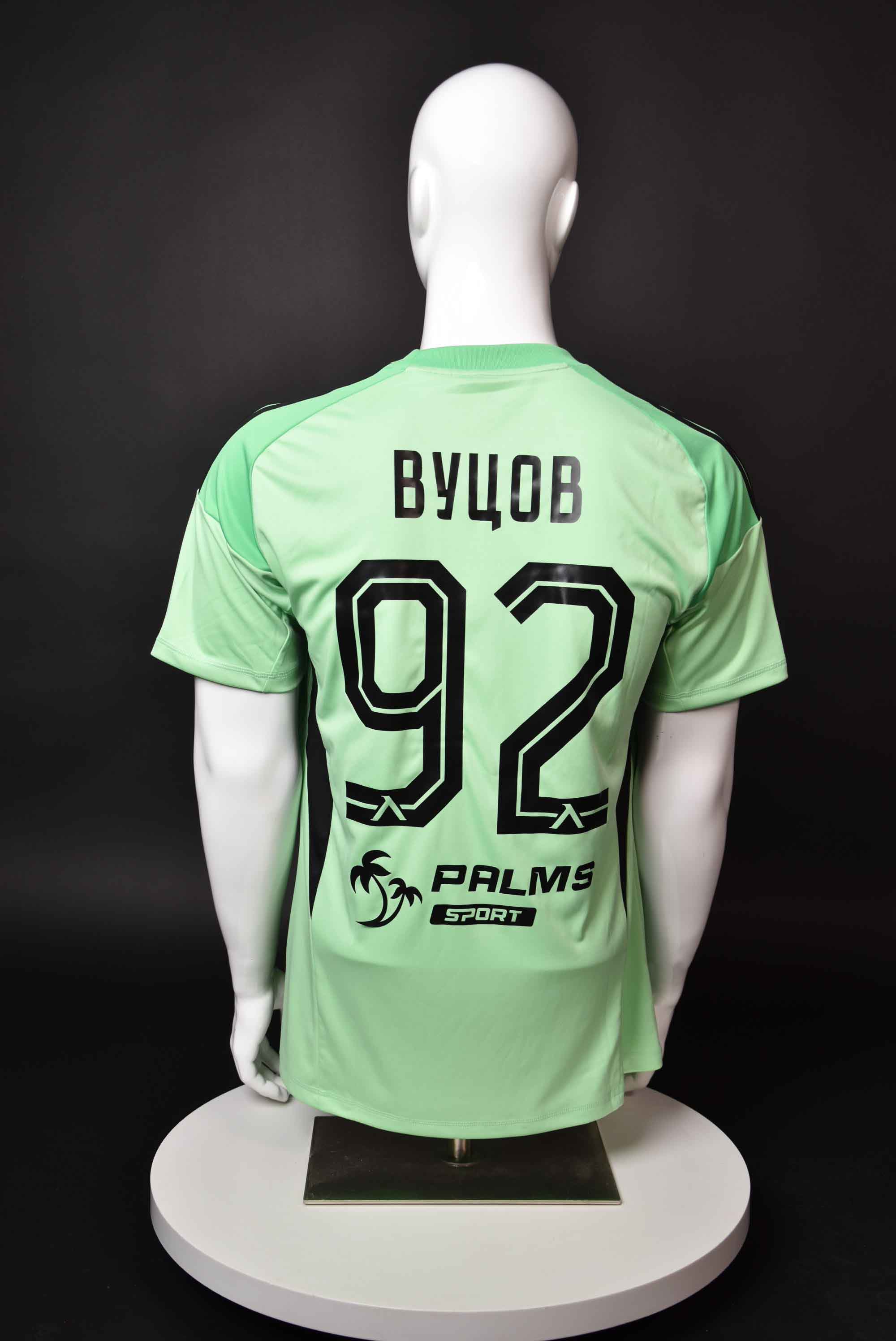 Светослав Вуцов back photo