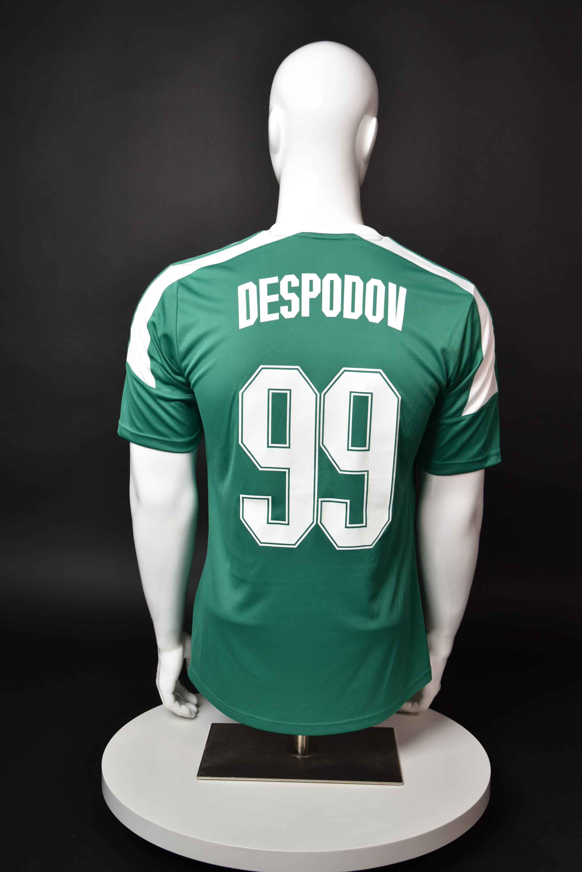 Кирил Десподов back photo