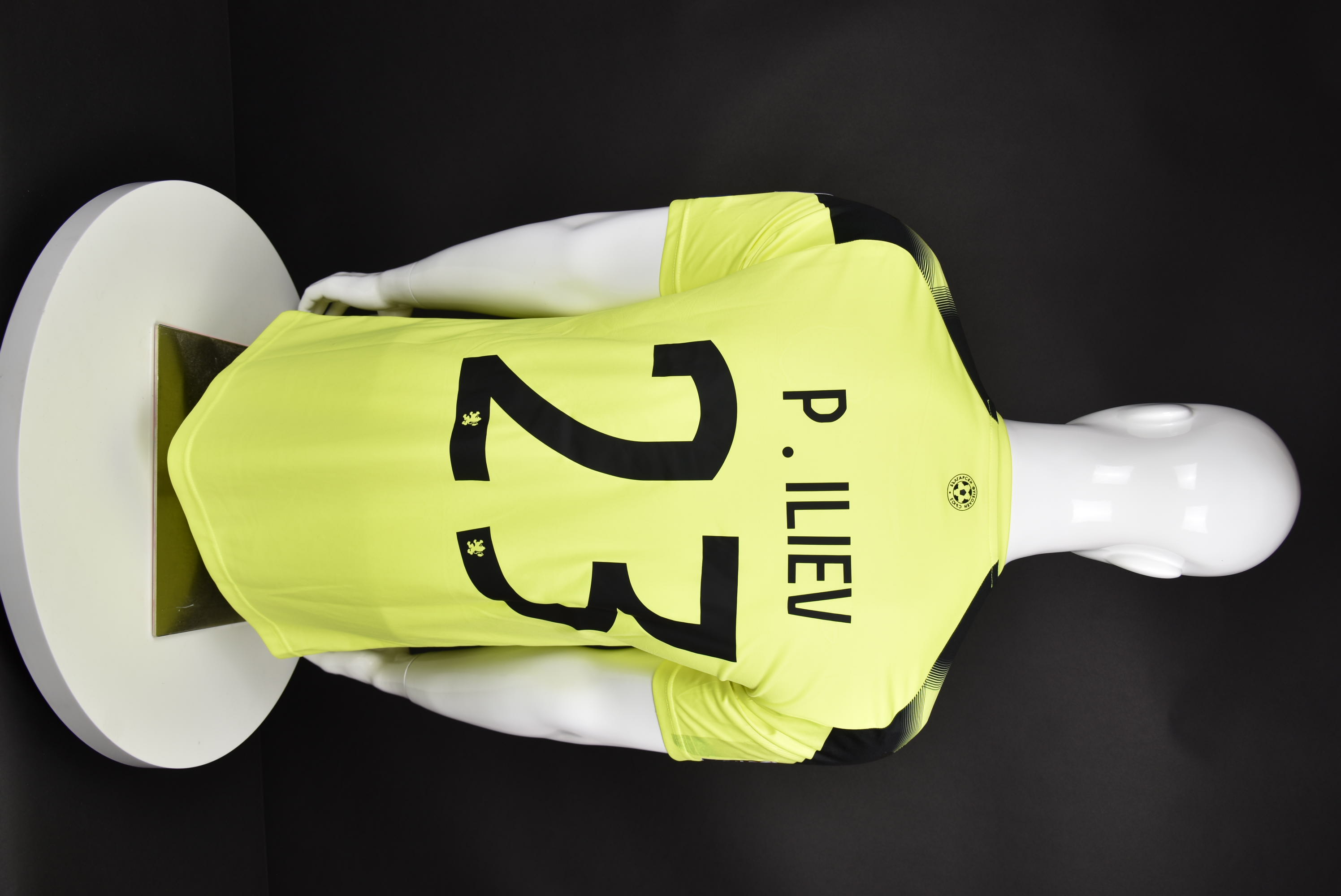 Пламен Илиев back photo