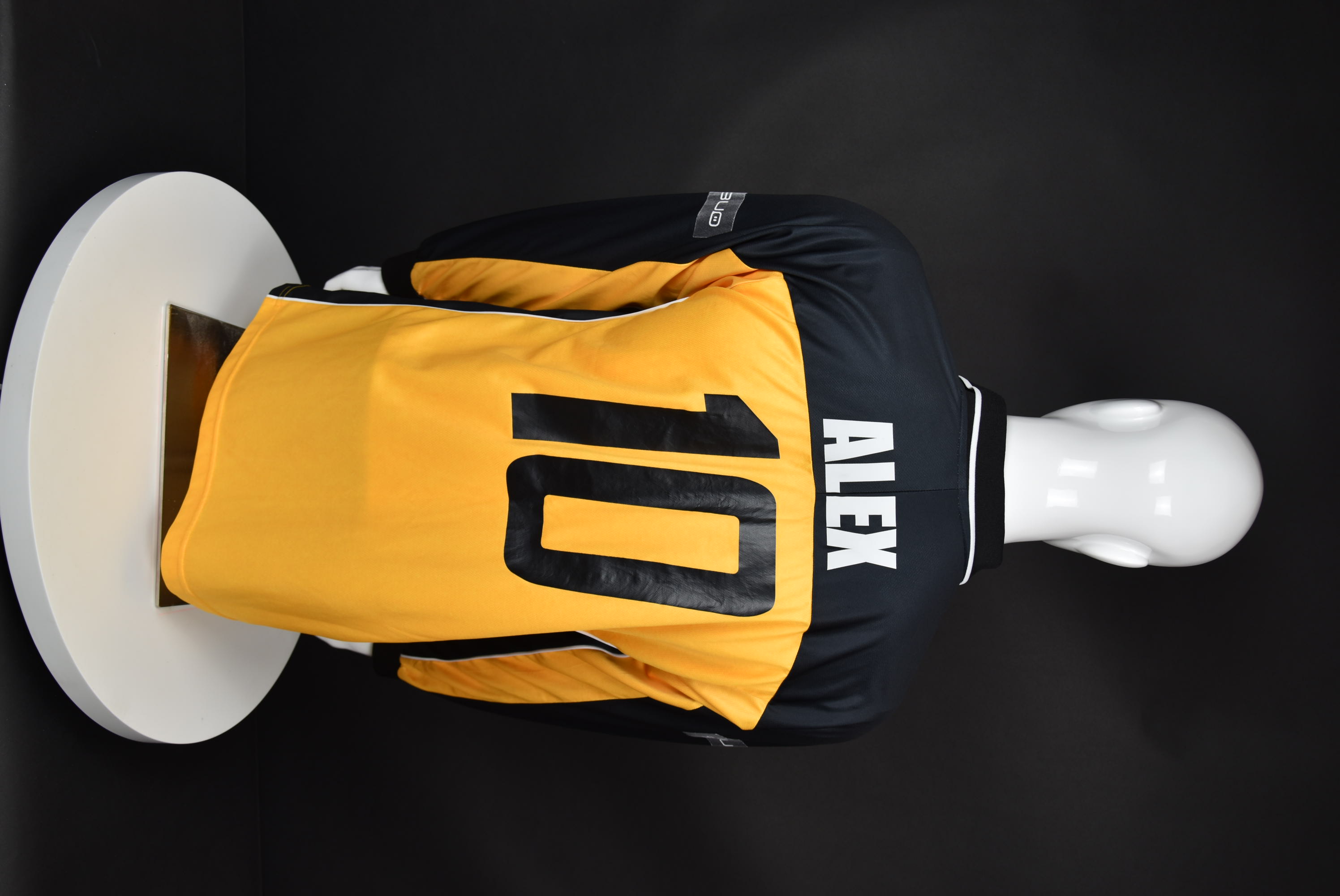 Александър Александров back photo