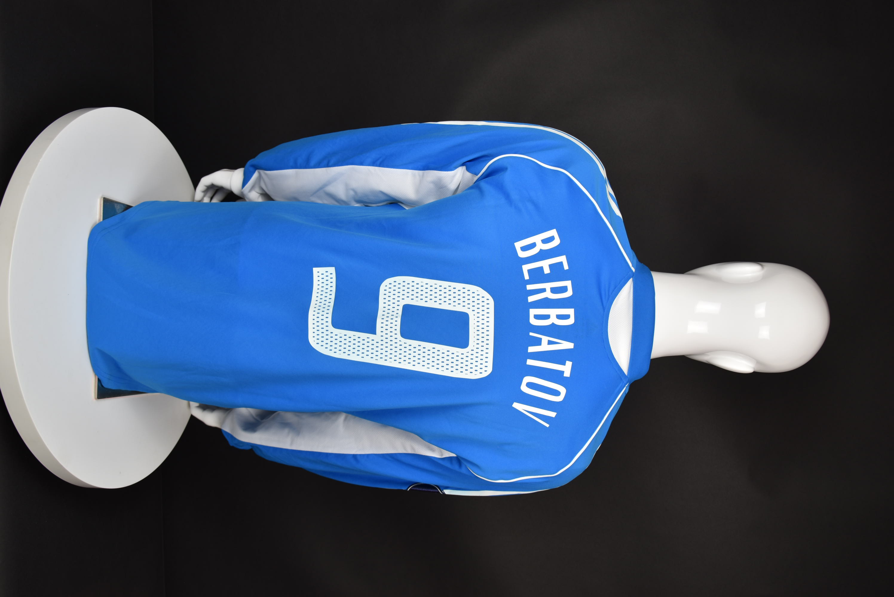 Димитър Бербатов back photo