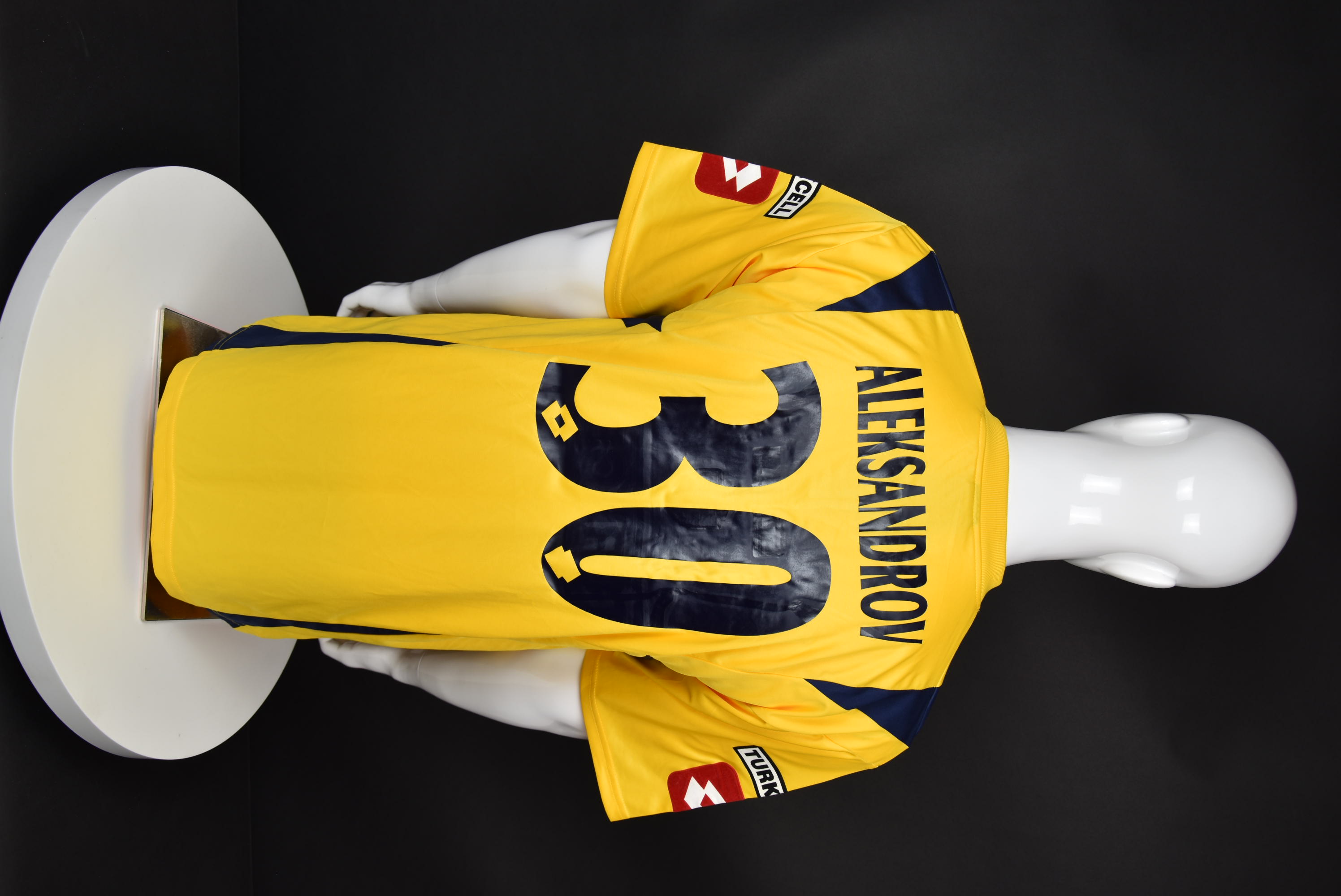 Александър Александров back photo