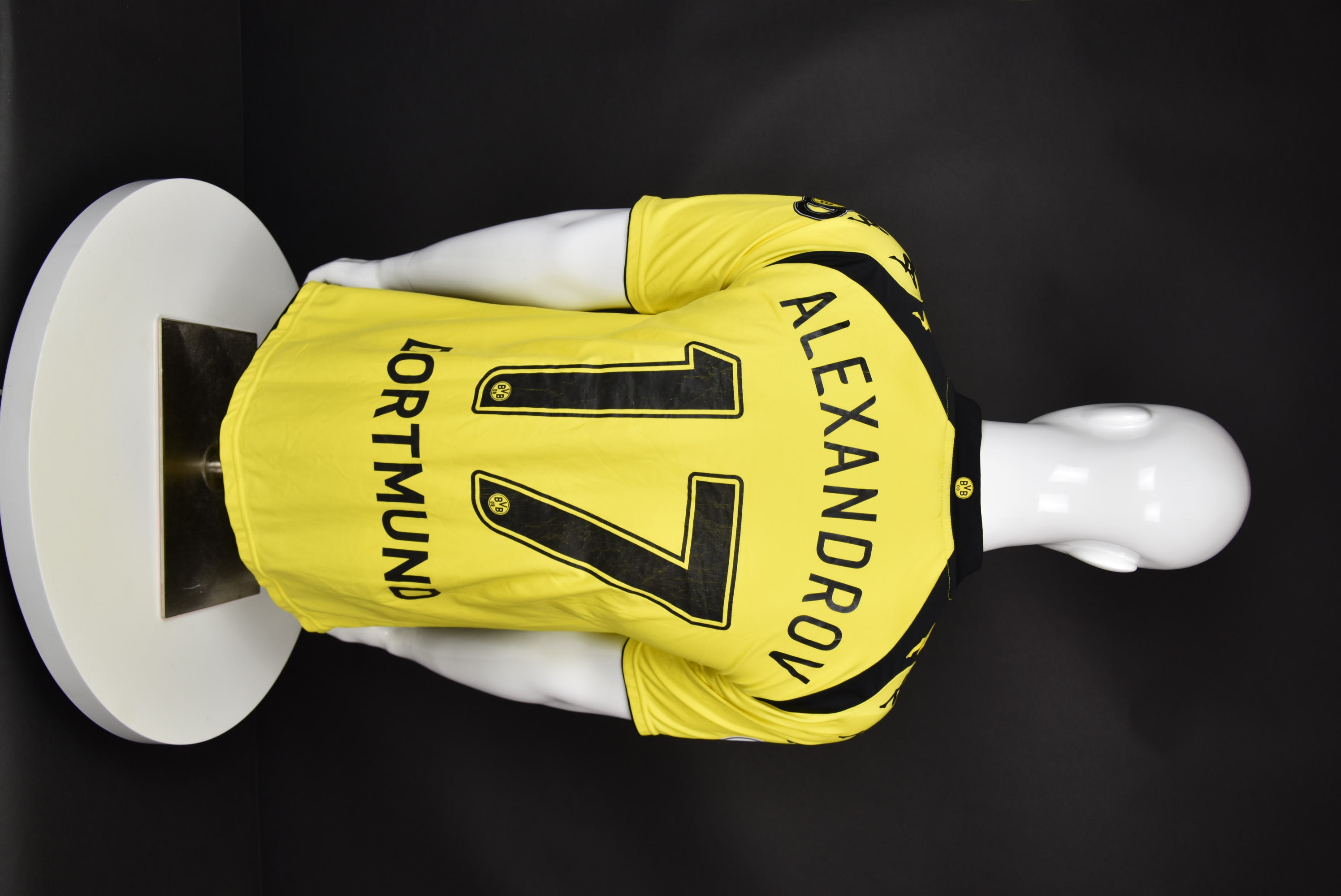 Михаил Александров back photo