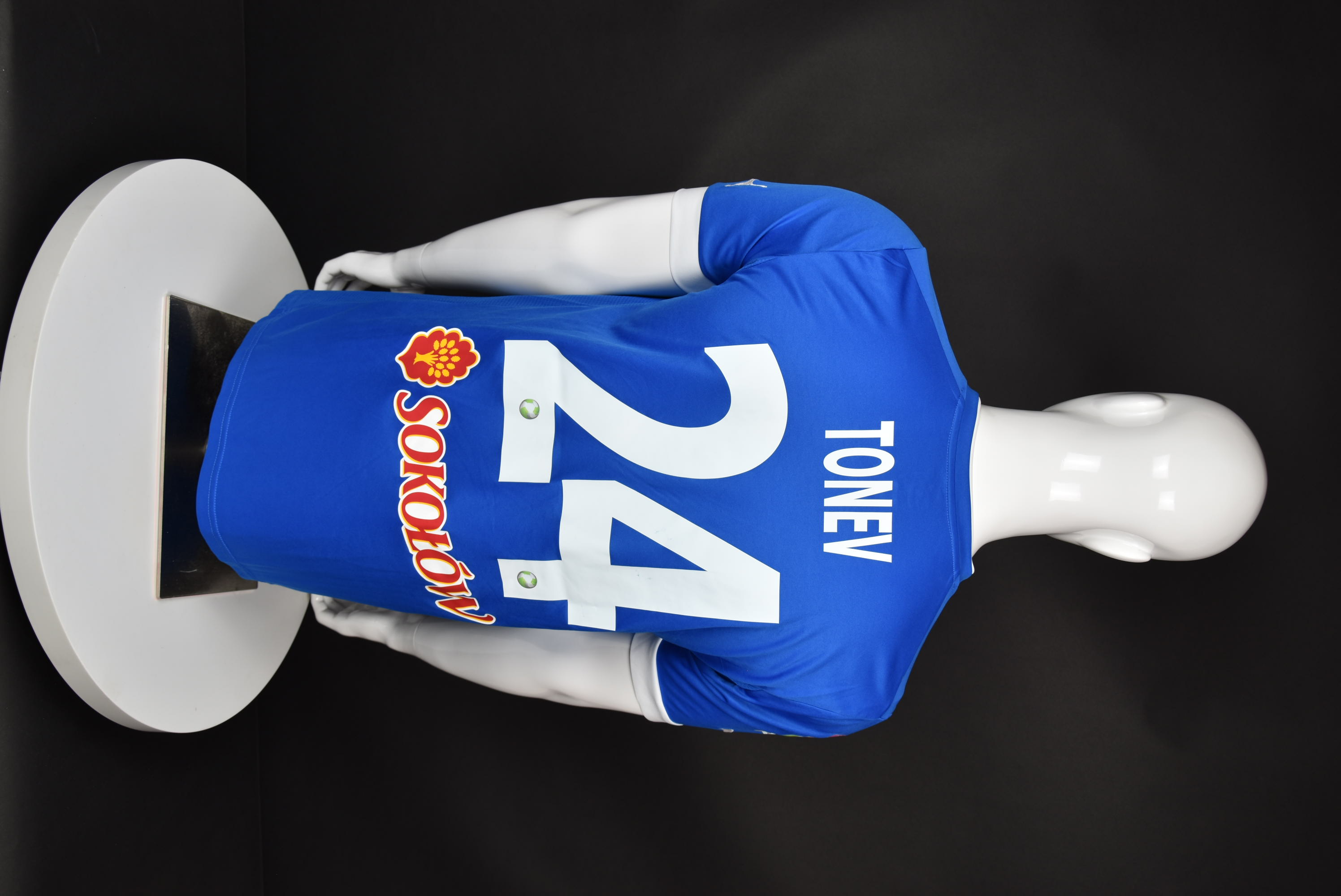 Александър Тонев back photo