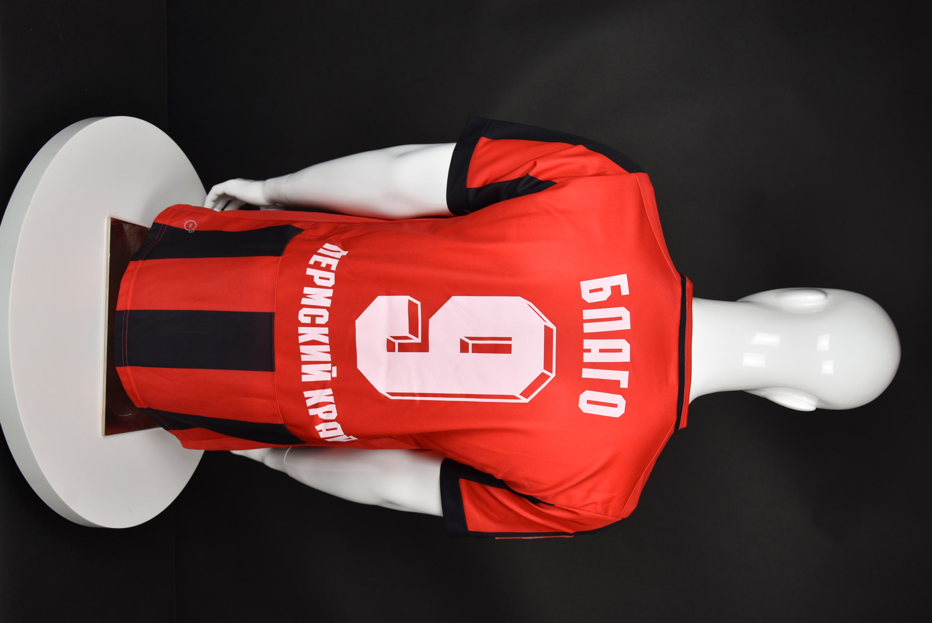 Благой Георгиев back photo