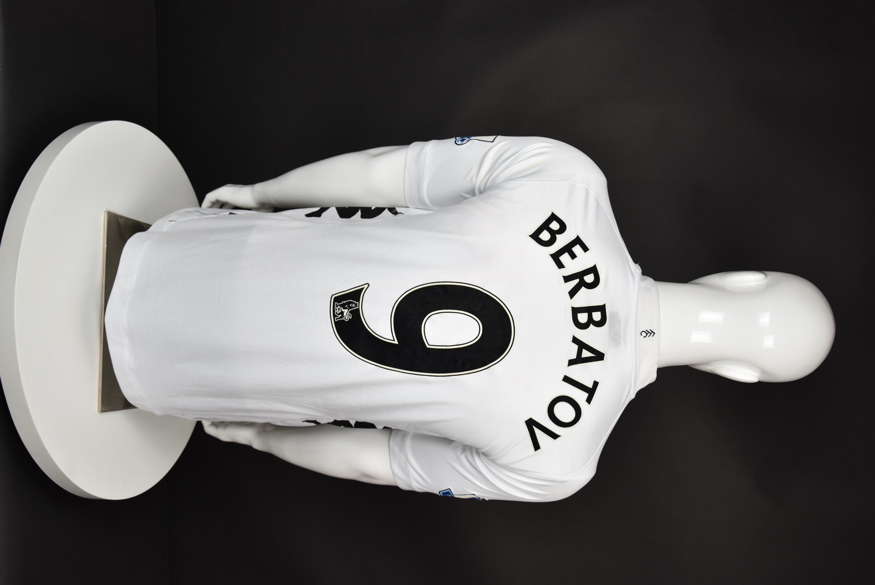 Димитър Бербатов back photo