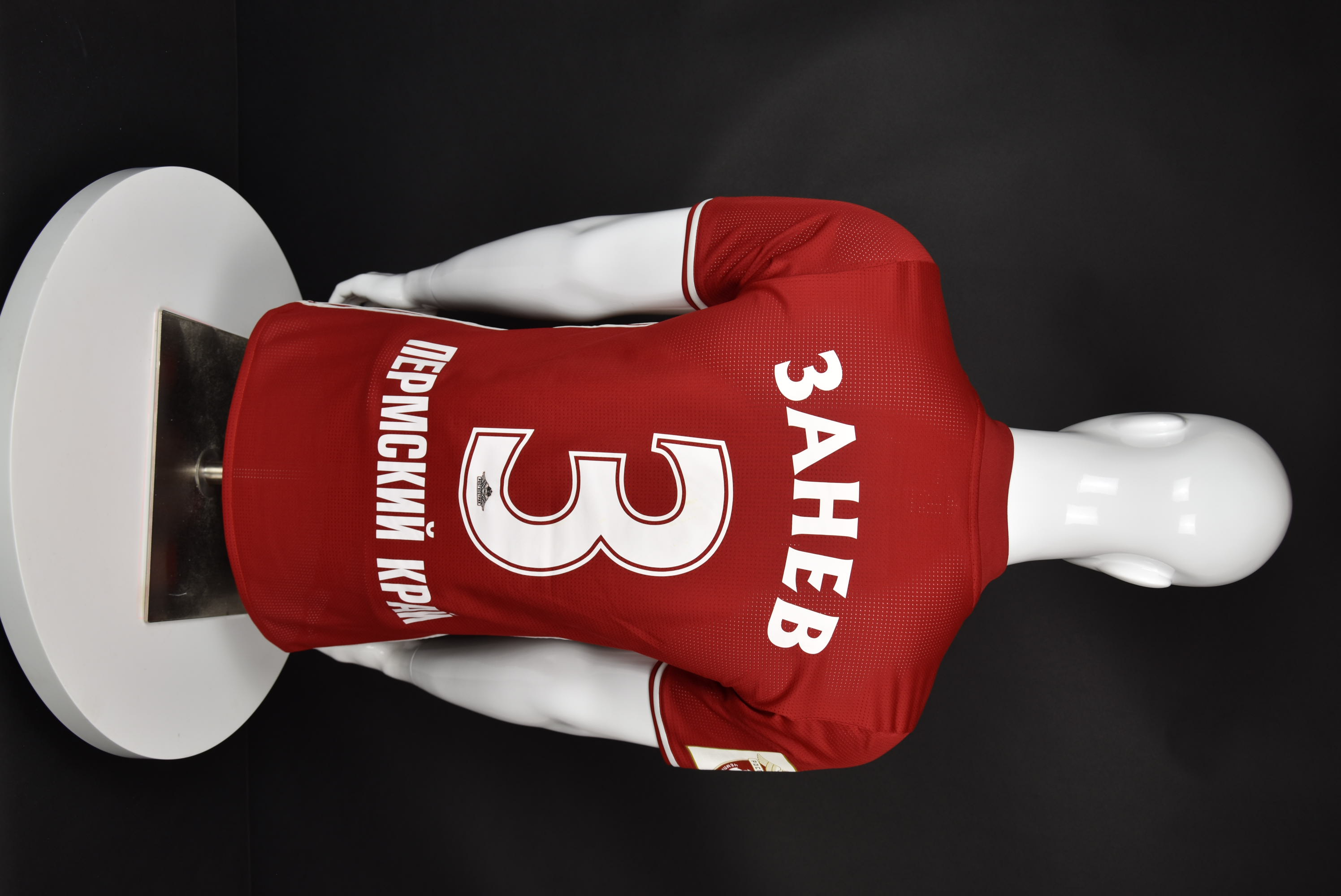 Петър Занев back photo