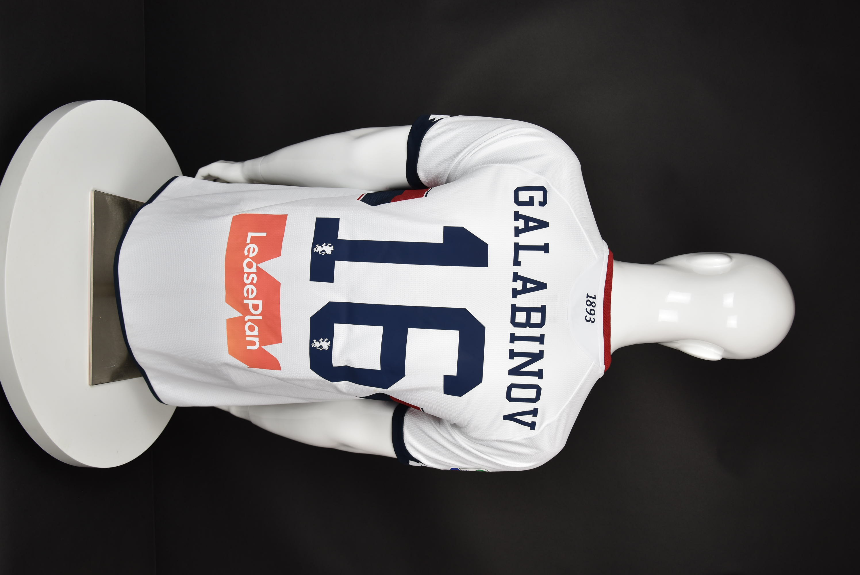 Андрей Гълъбинов back photo