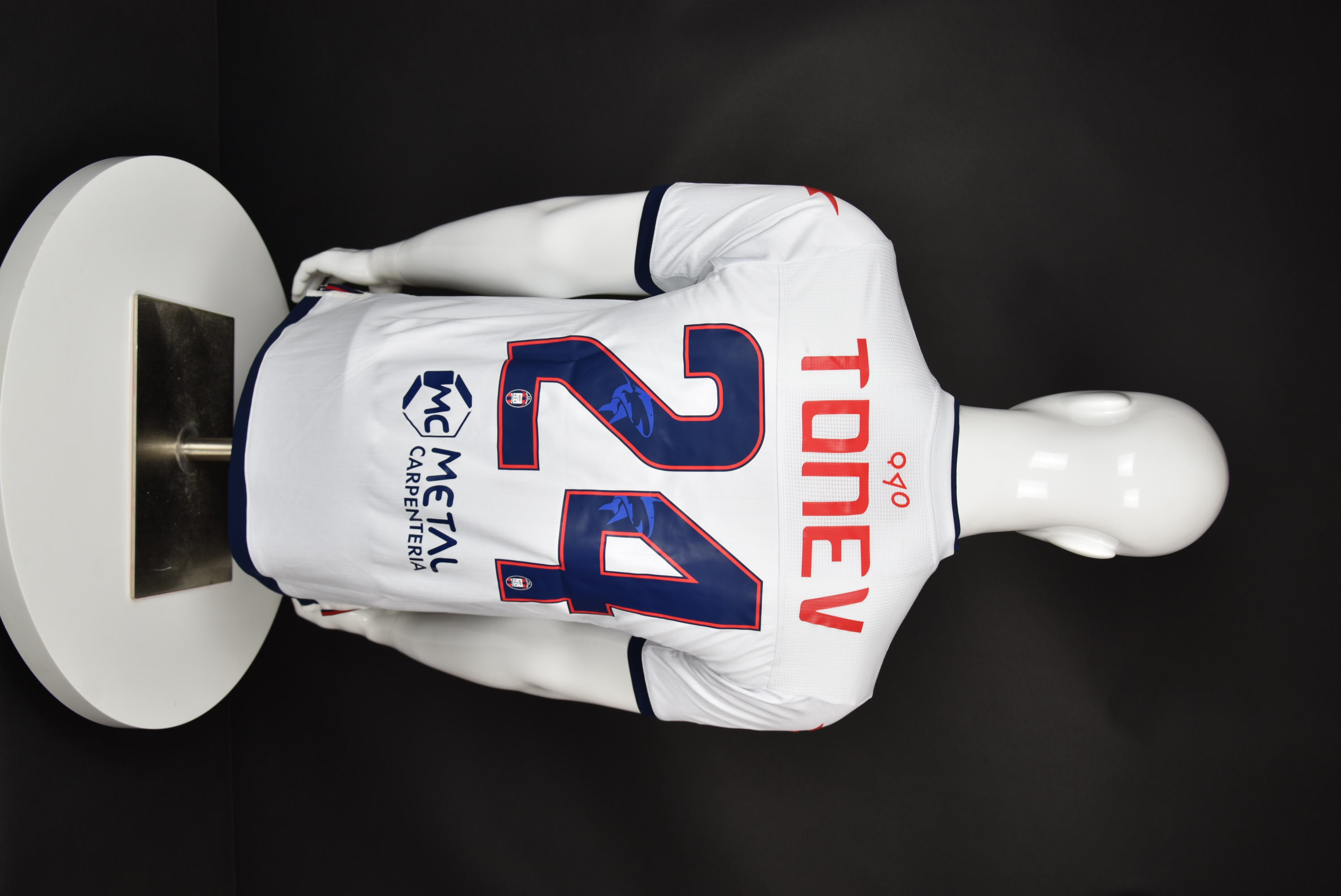 Александър Тонев back photo