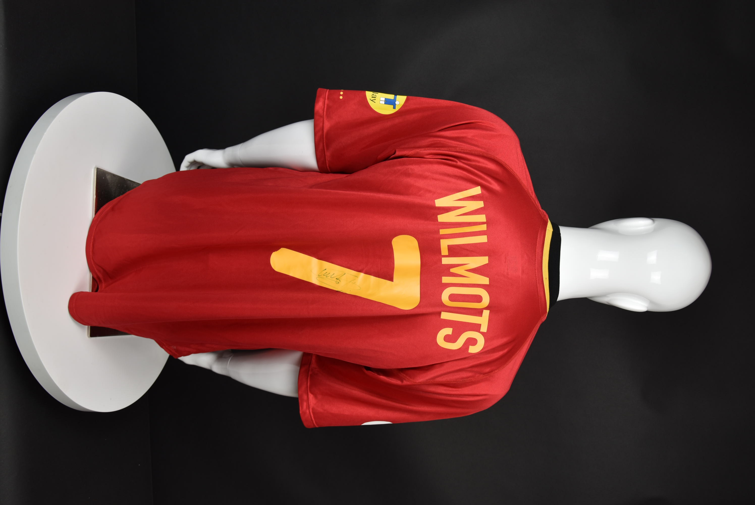 Марк Вилмотс back photo