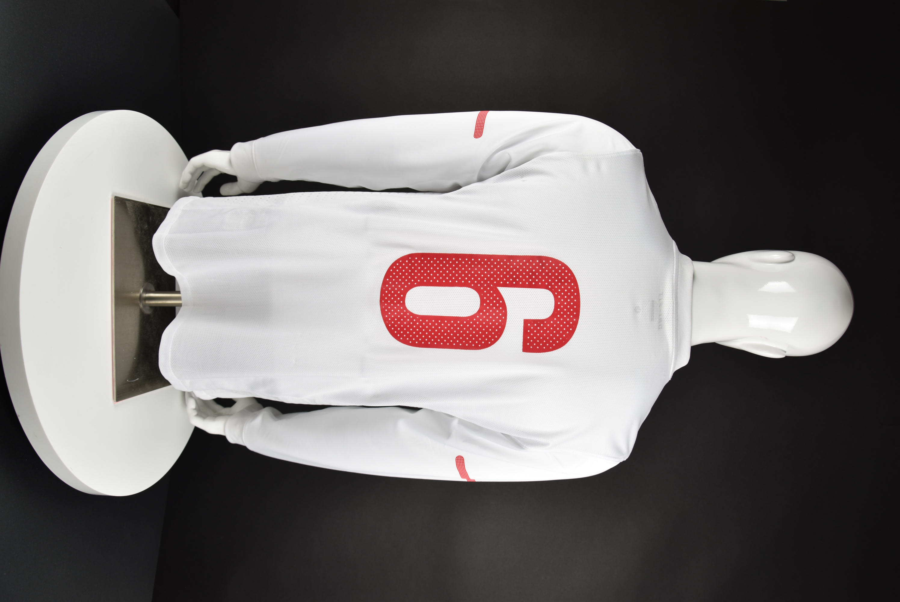 Бранислав Иванович back photo