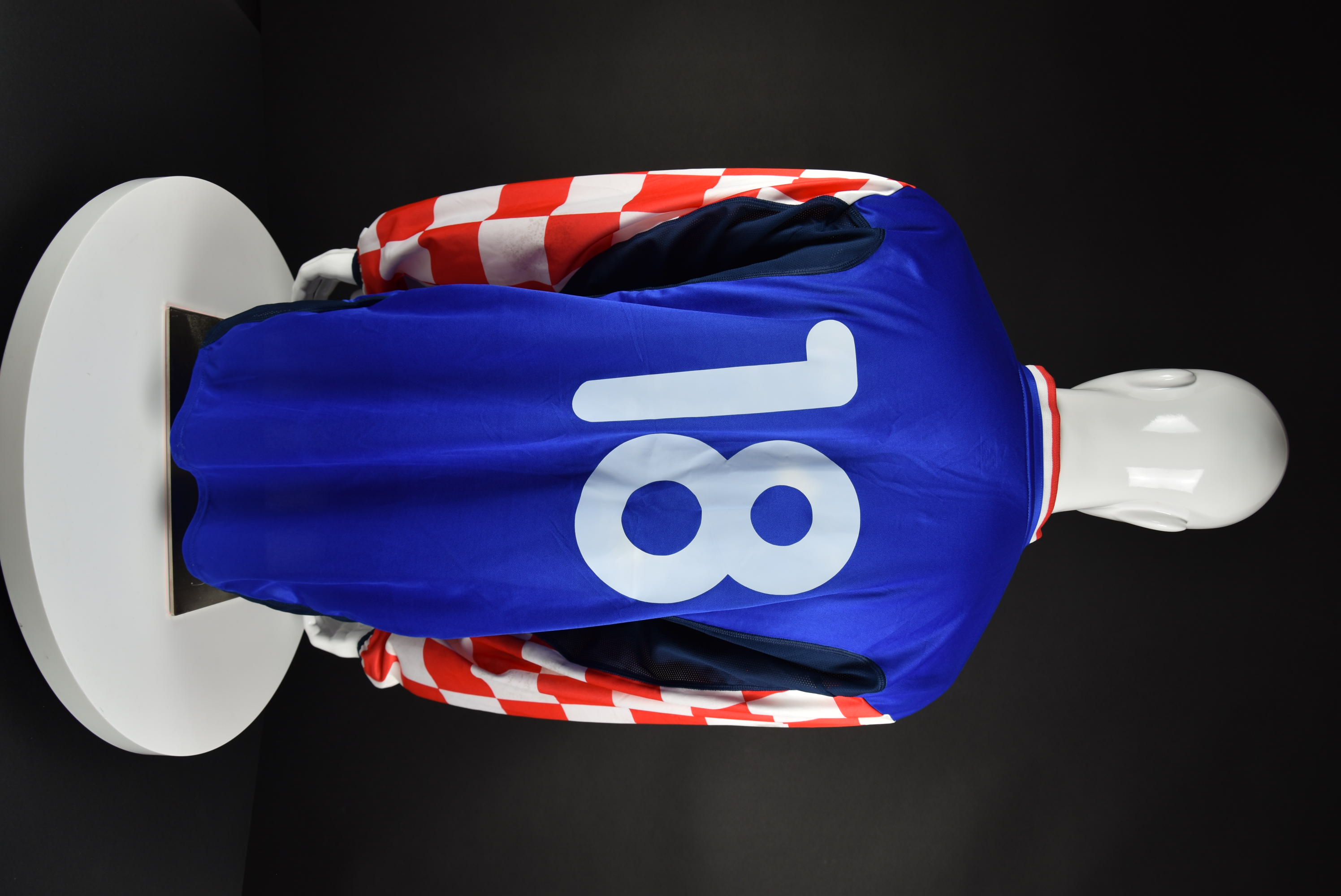 Ивица Олич back photo