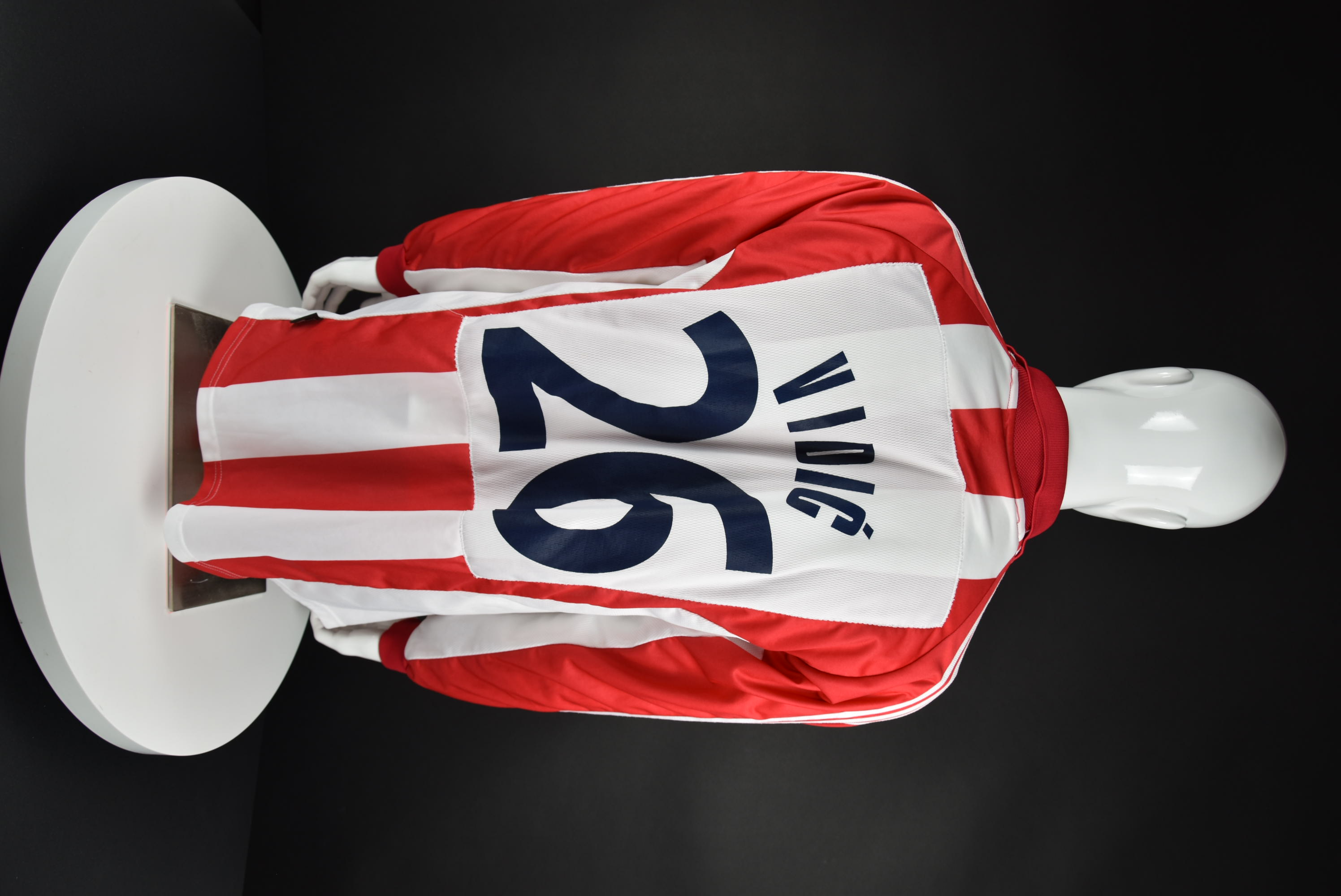 Неманя Видич back photo