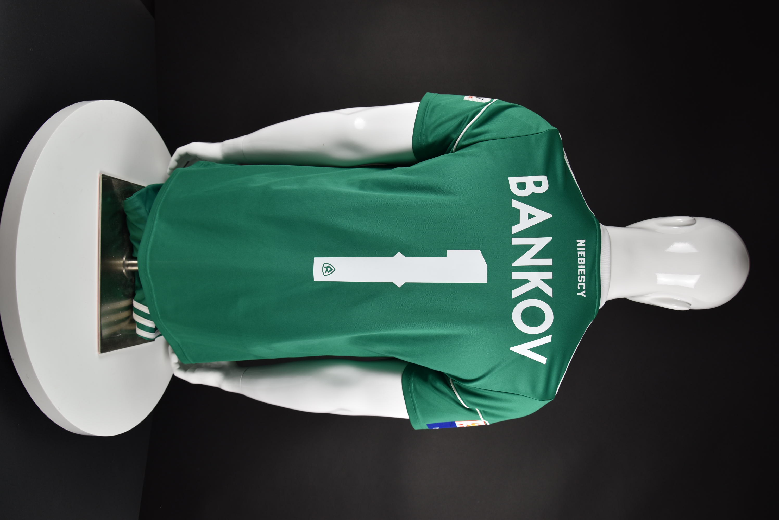 Николай Банков back photo