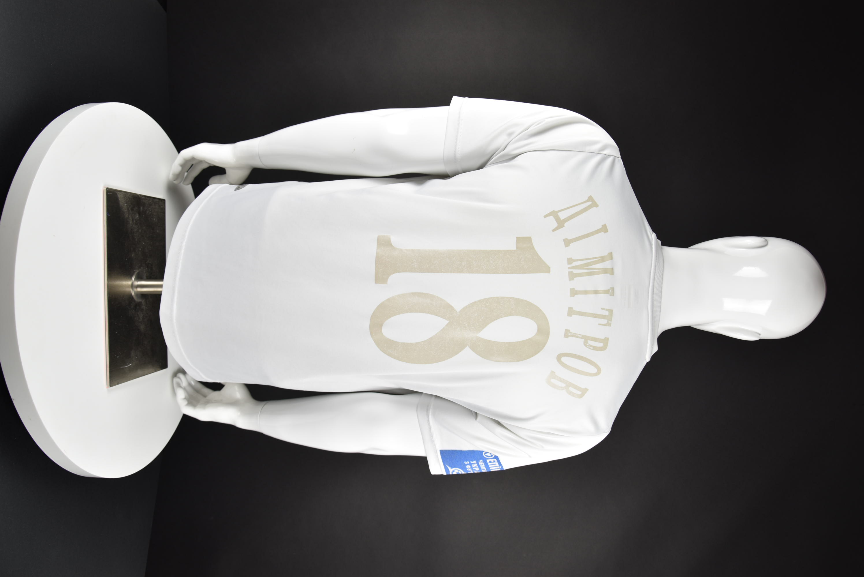 Велизар Димитров back photo