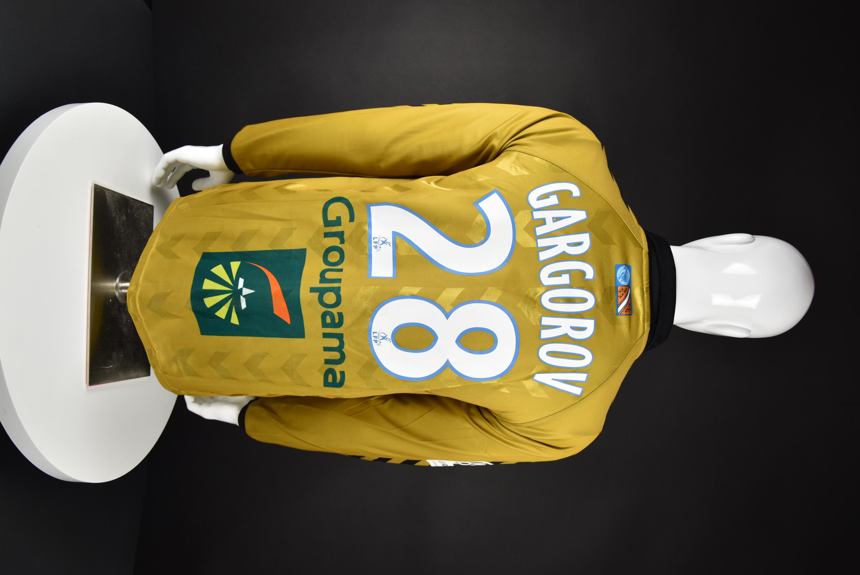 Емил Гъргоров back photo