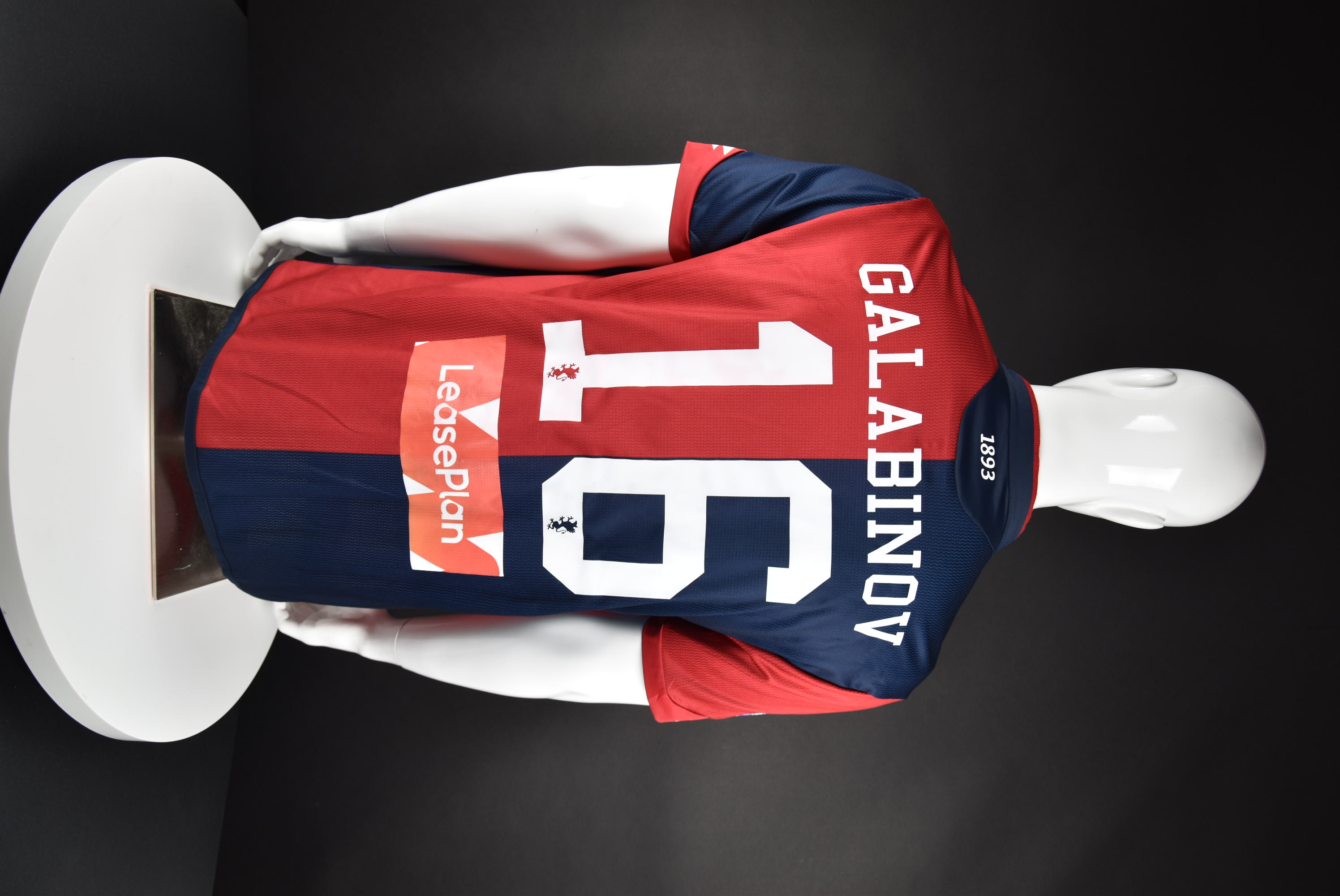 Андрей Гълъбинов back photo