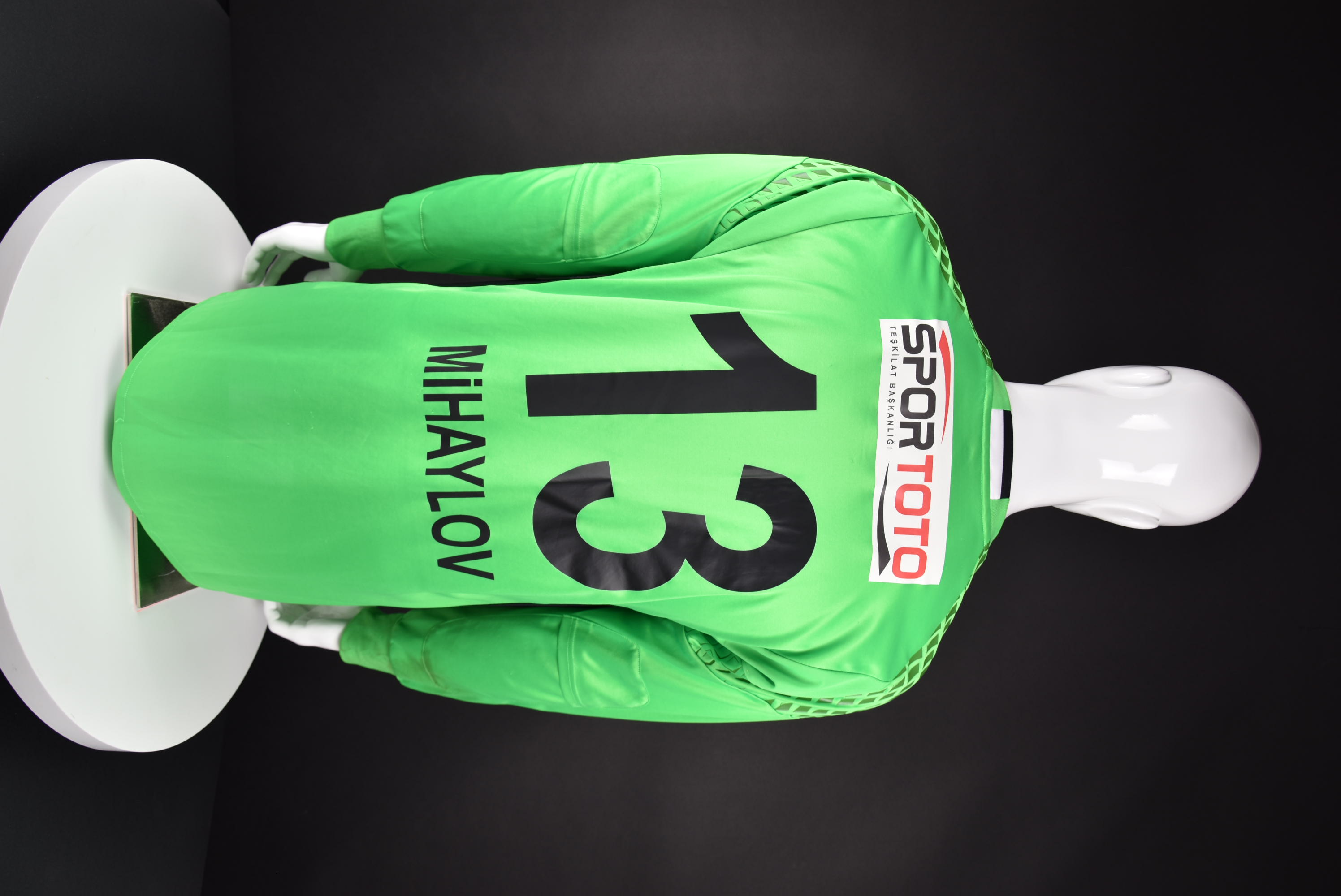 Николай Михайлов back photo