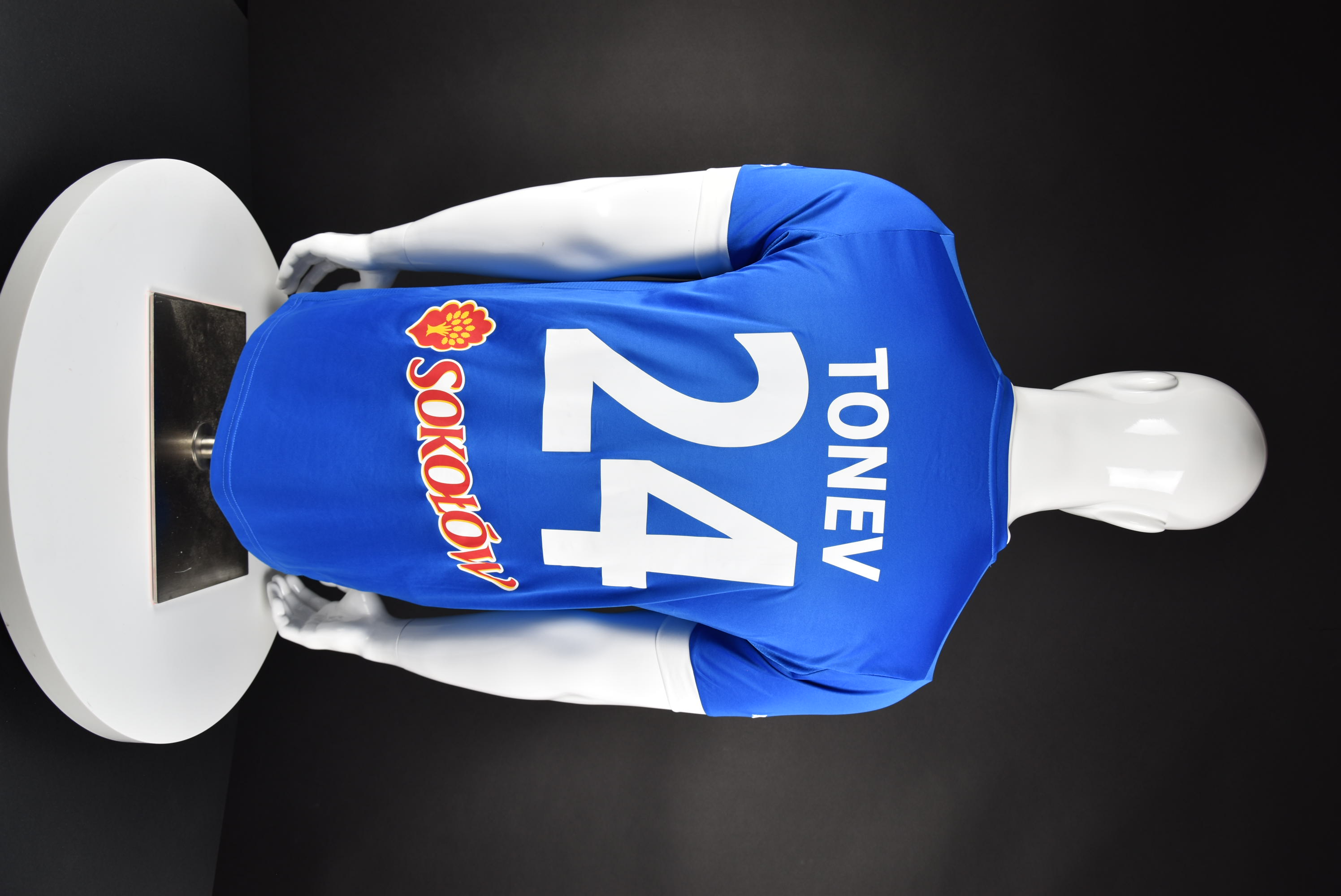 Александър Тонев back photo