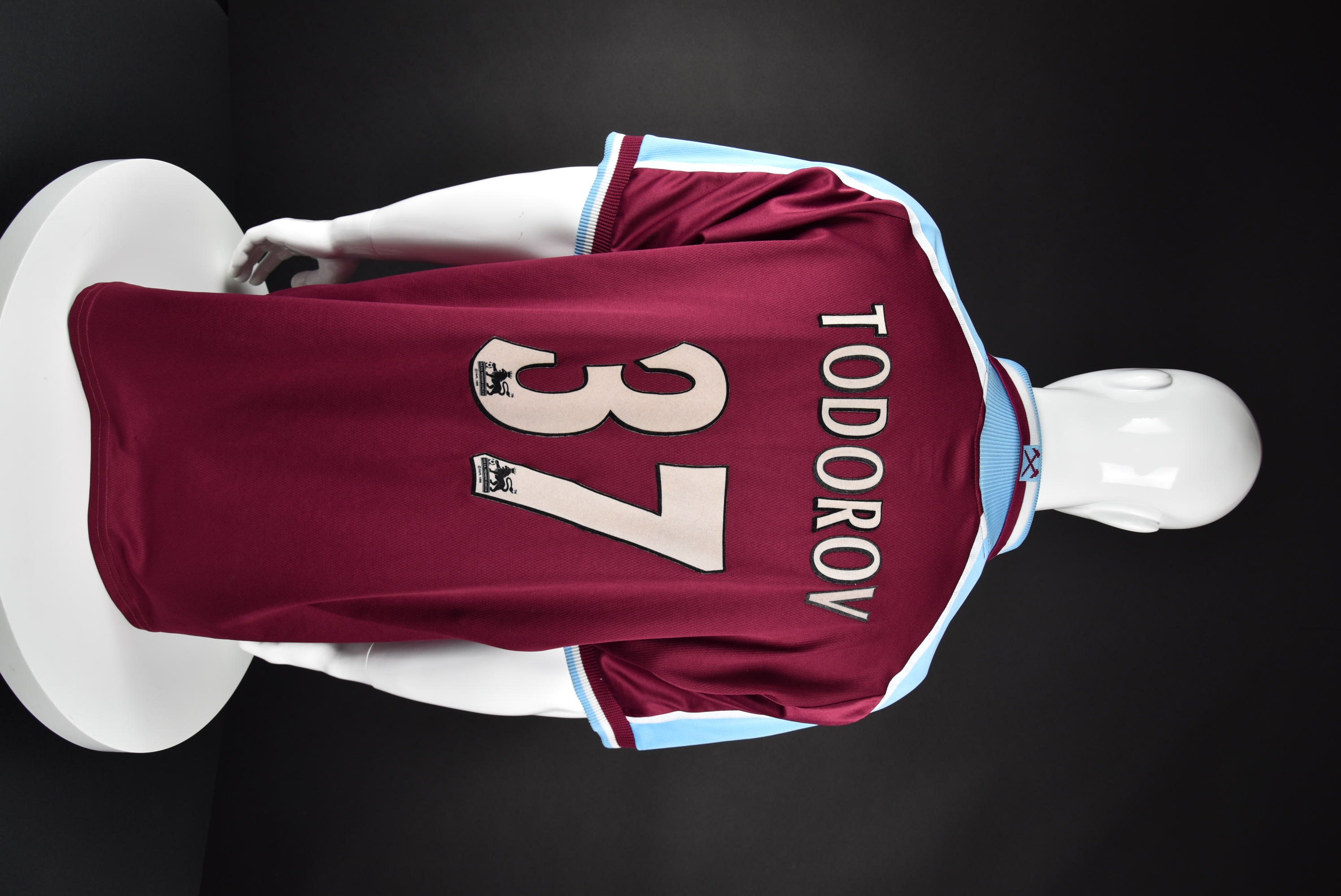 Светослав Тодоров back photo