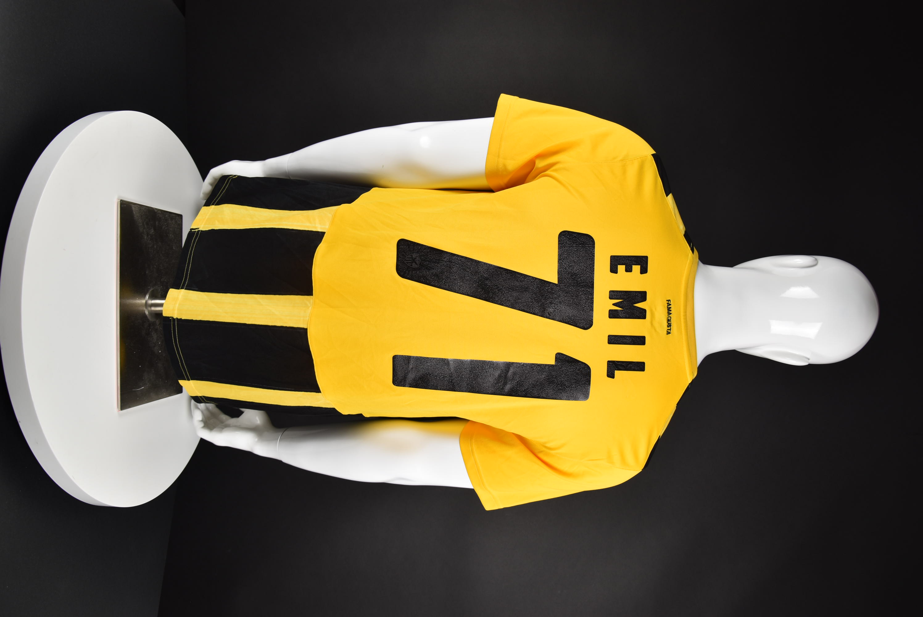 Емил Ангелов back photo