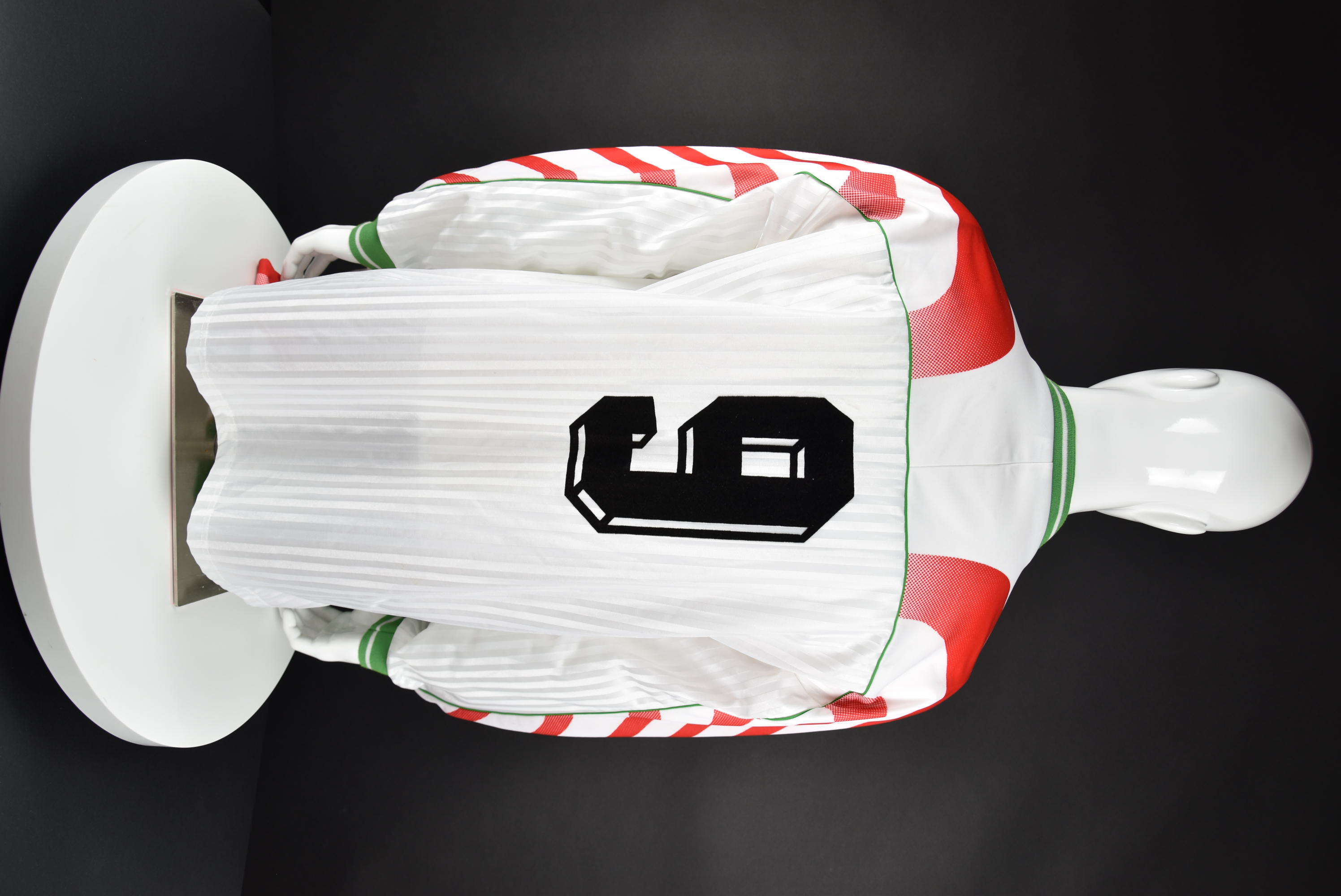 Любослав Пенев back photo