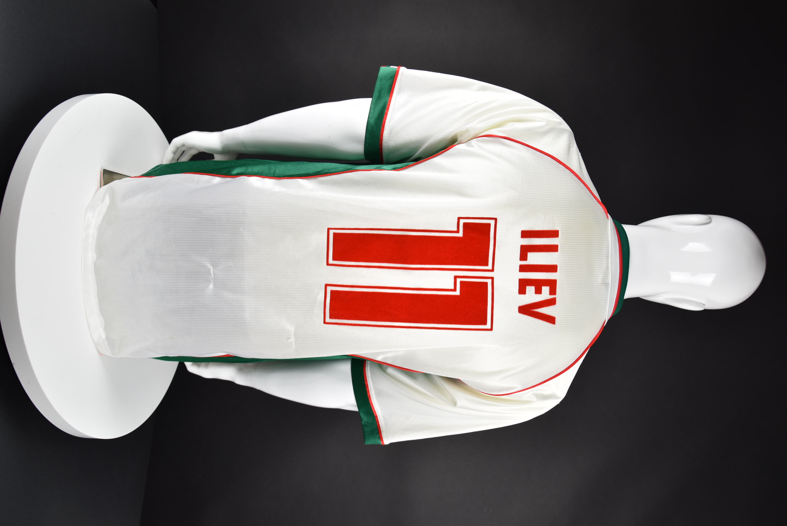 Илиан Илиев back photo