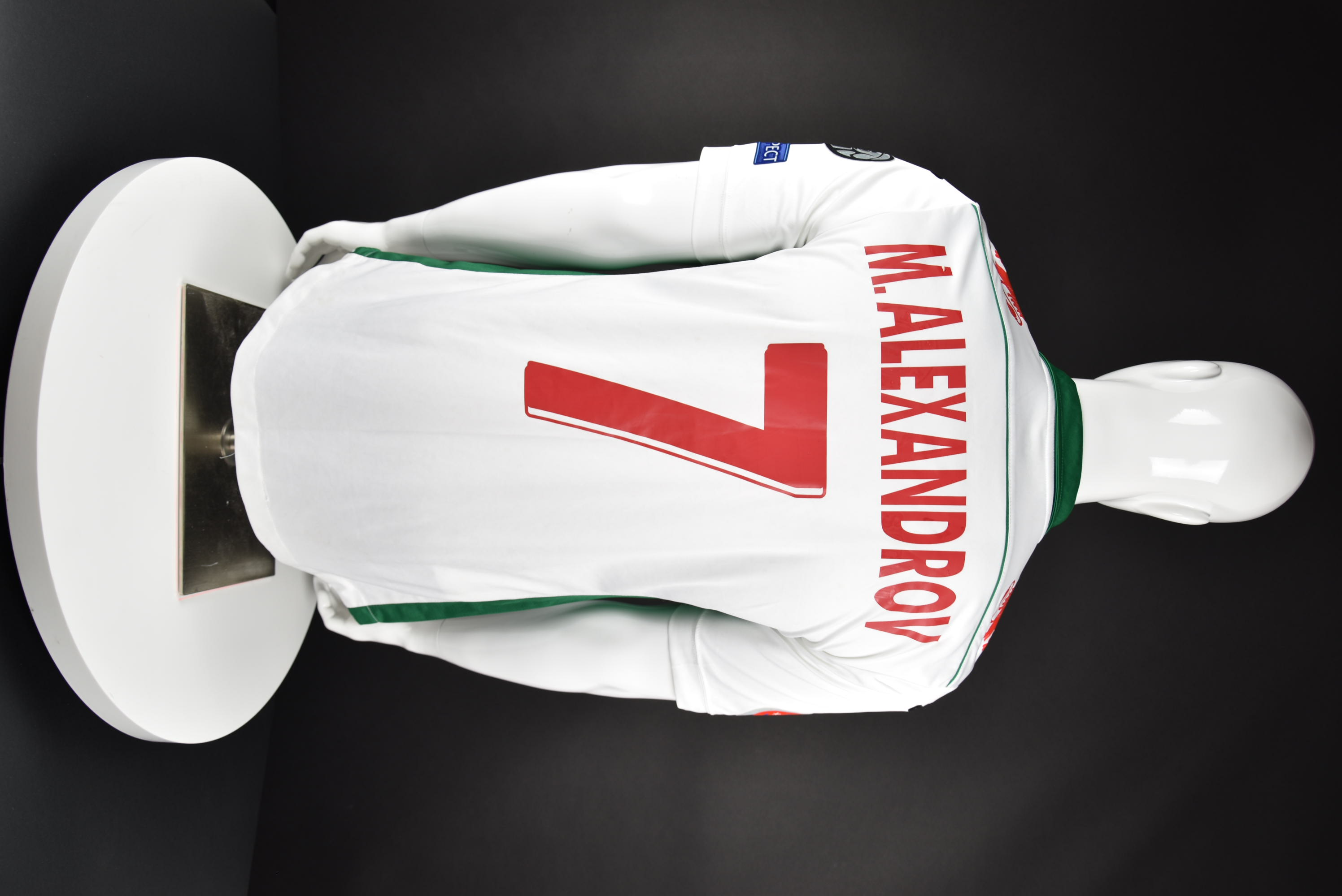 Михаил Александров back photo