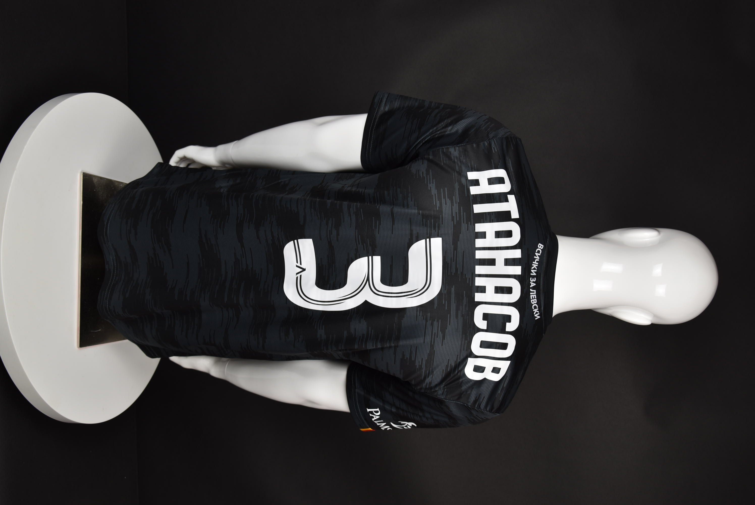 Живко Атанасов back photo