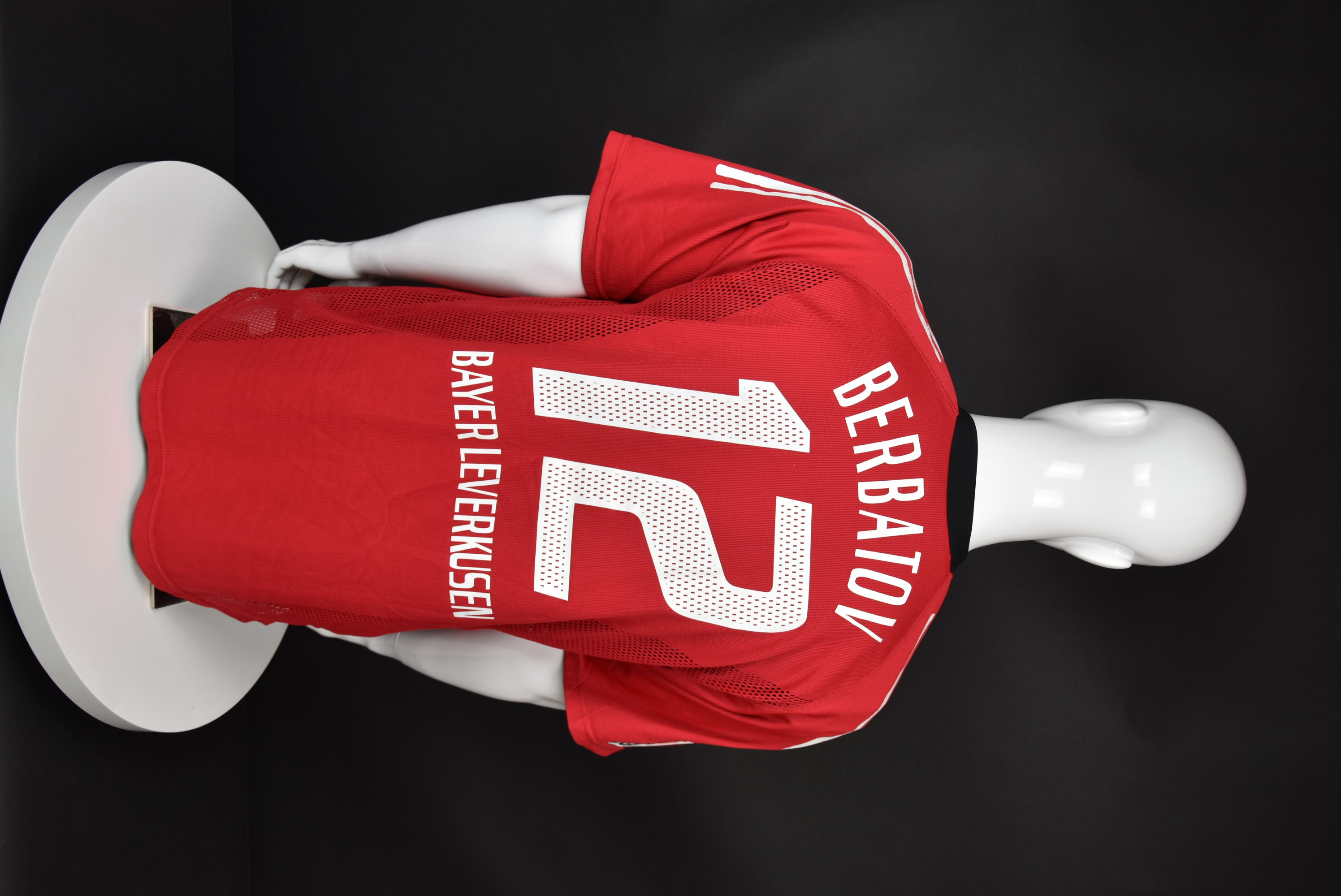 Димитър Бербатов back photo