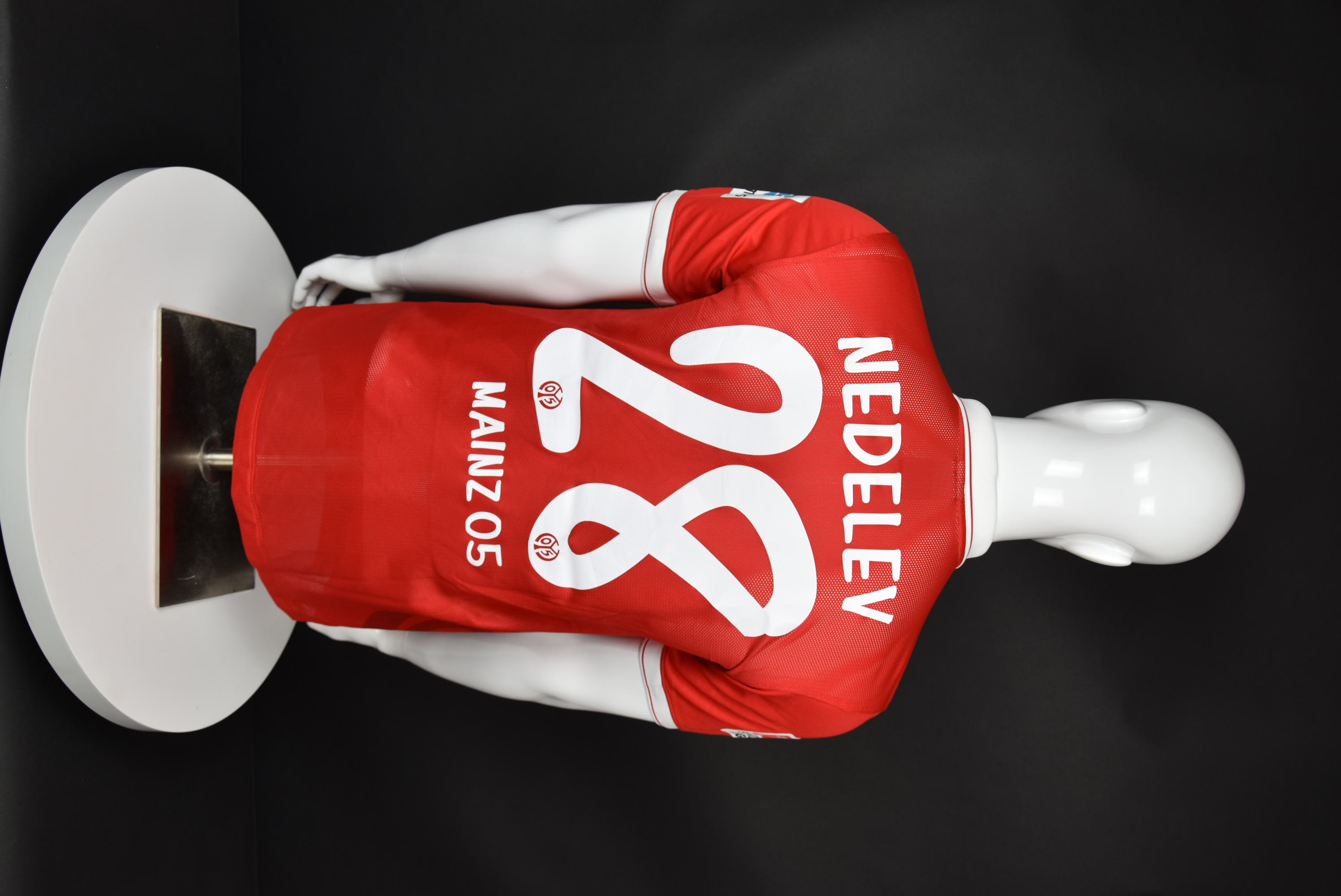 Тодор Неделев back photo