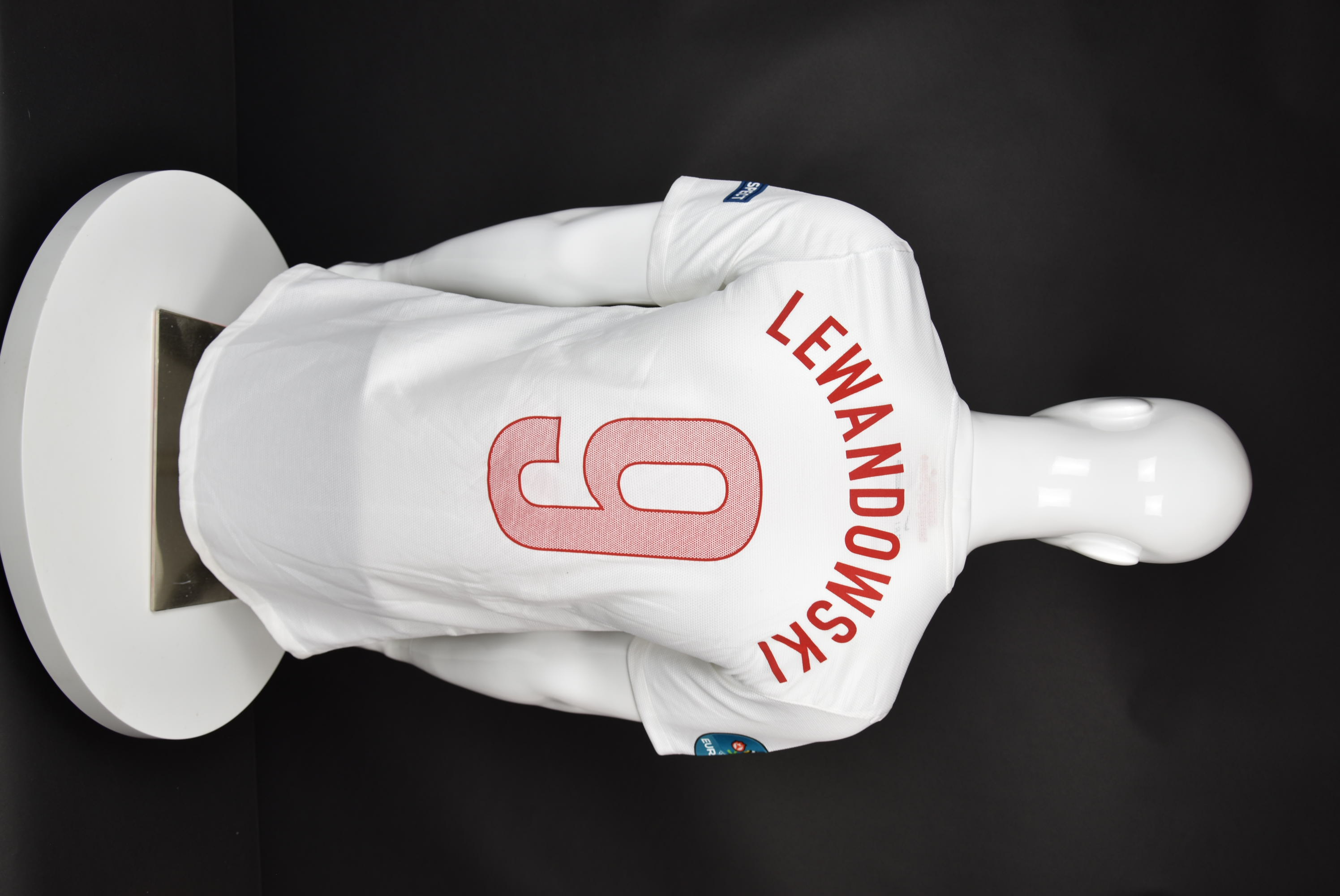 Роберт Левандовски back photo