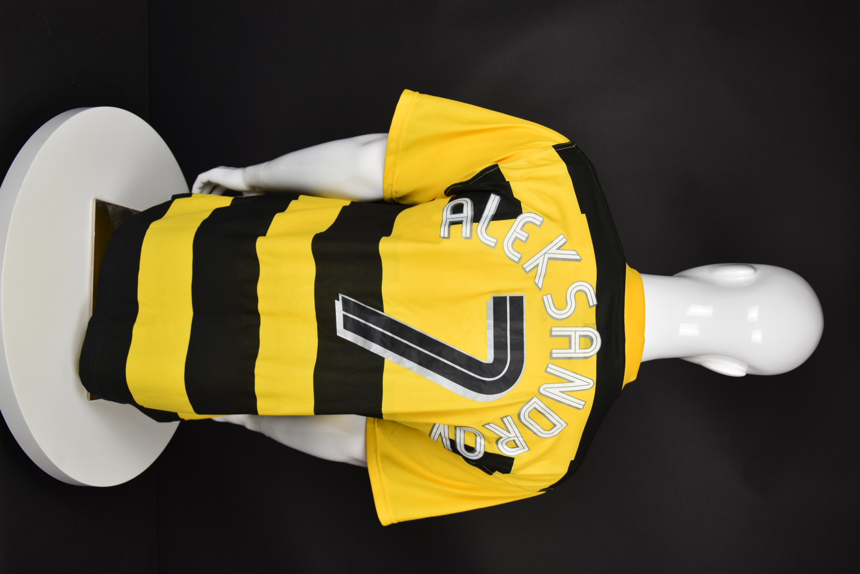 Александър Александров back photo