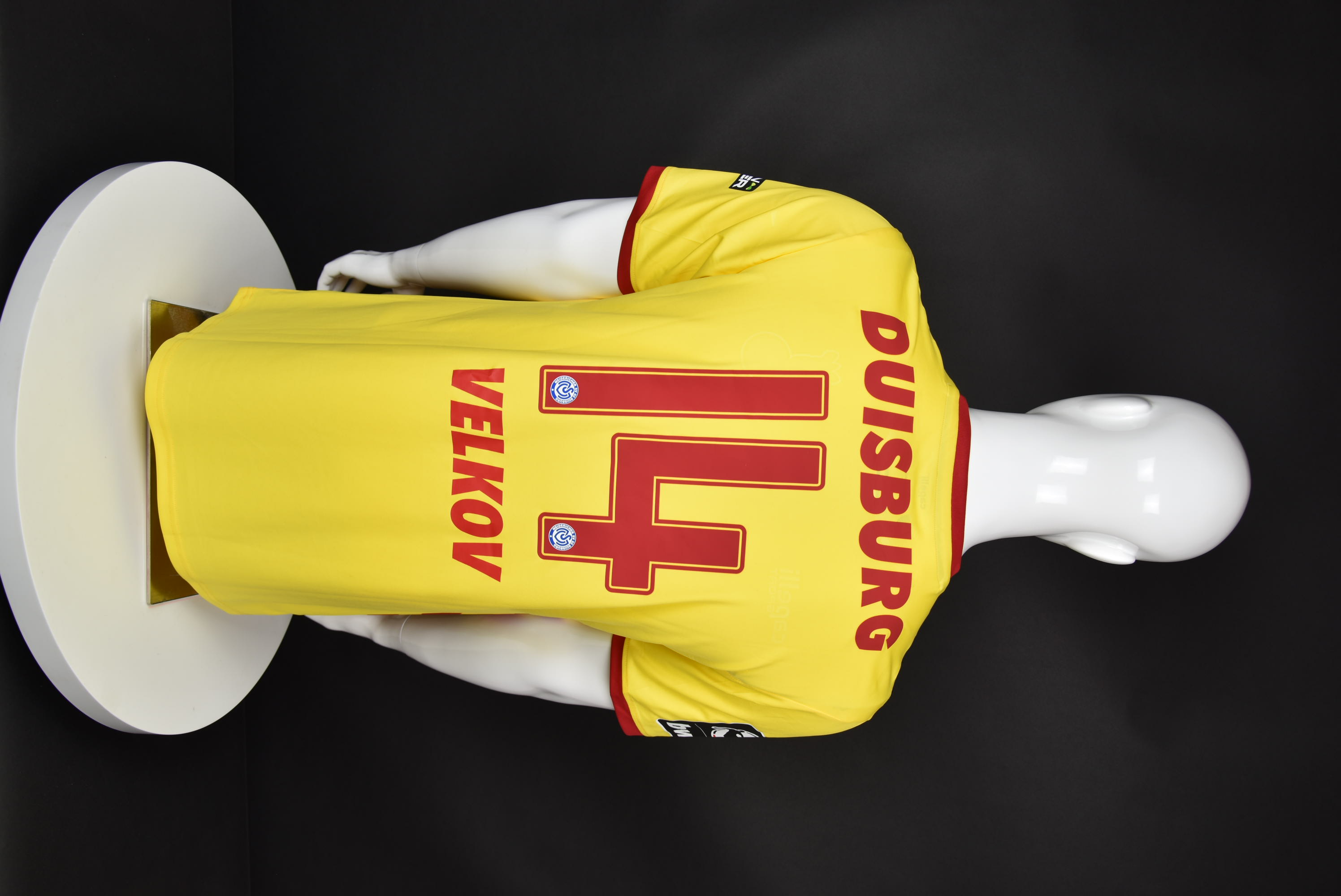 Стефан Велков back photo