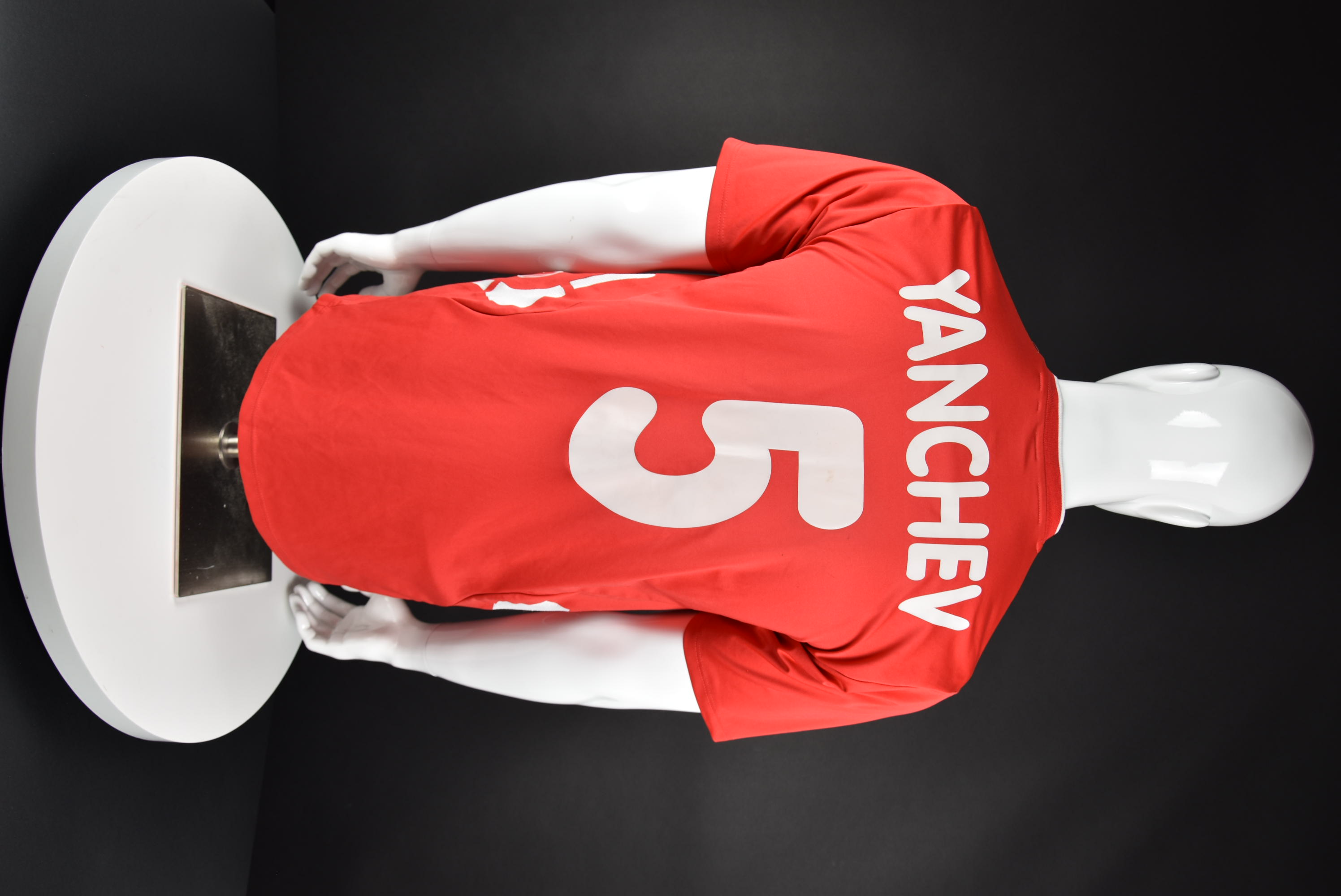 Тодор Янчев back photo