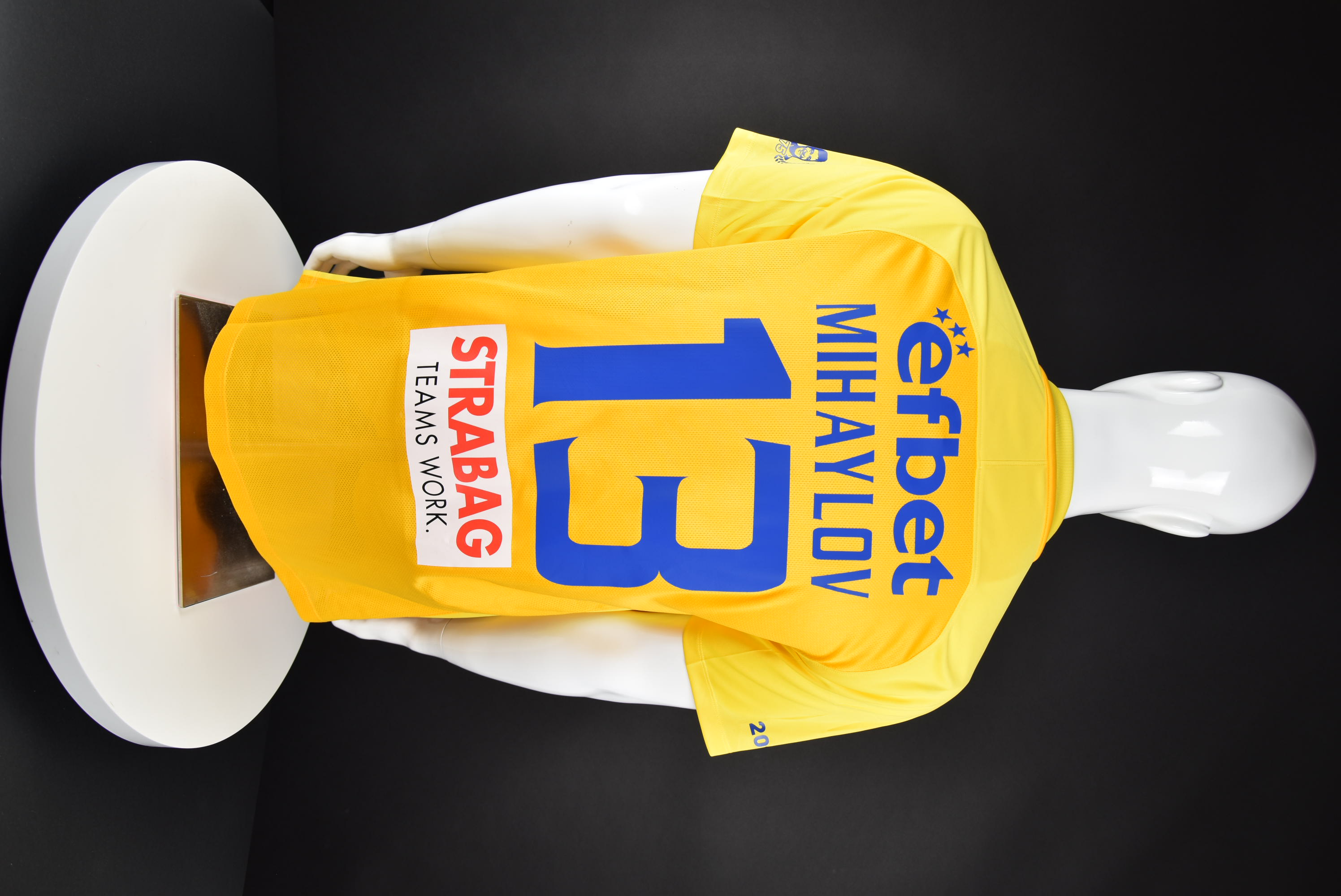 Николай Михайлов back photo