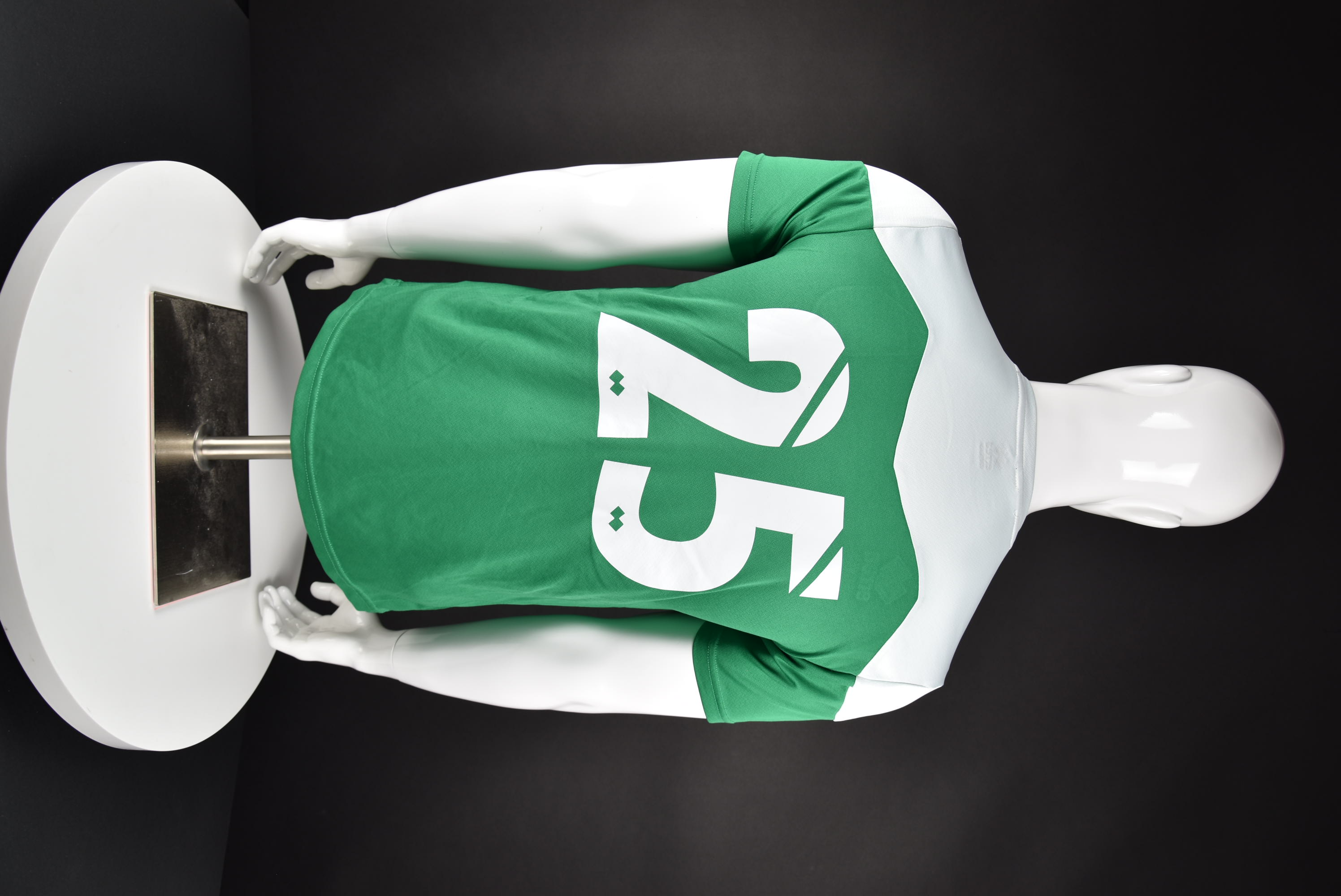 Методи Стефанов back photo