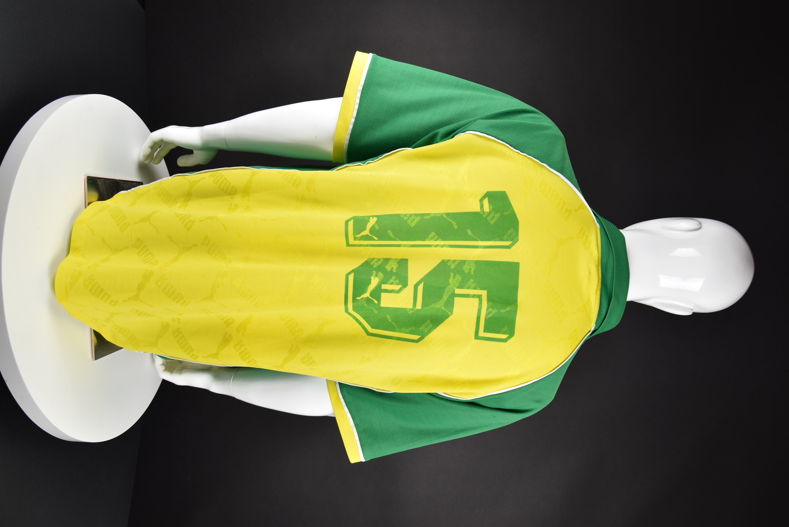 Димитър Недялков back photo