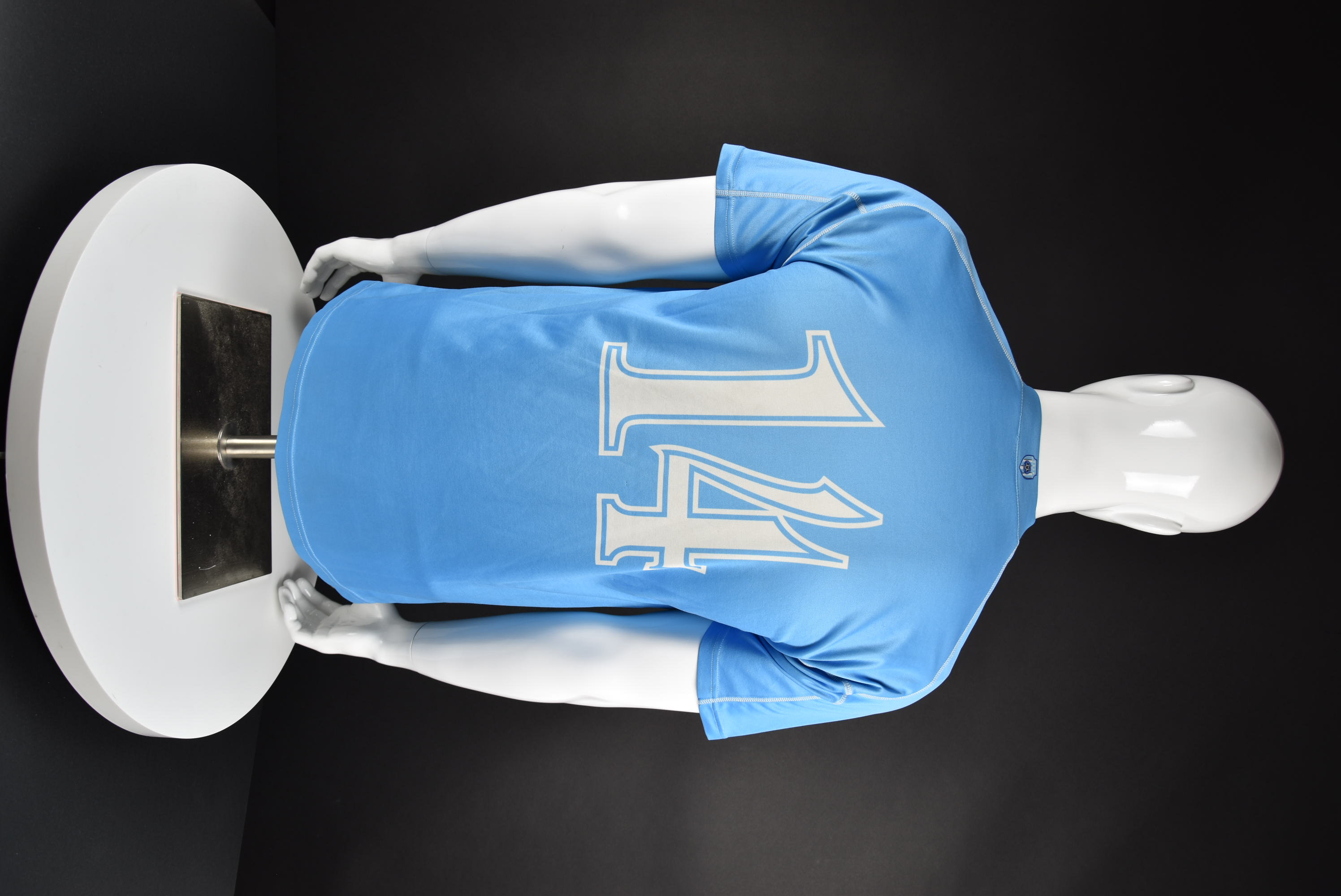 Станислав Стоянов back photo