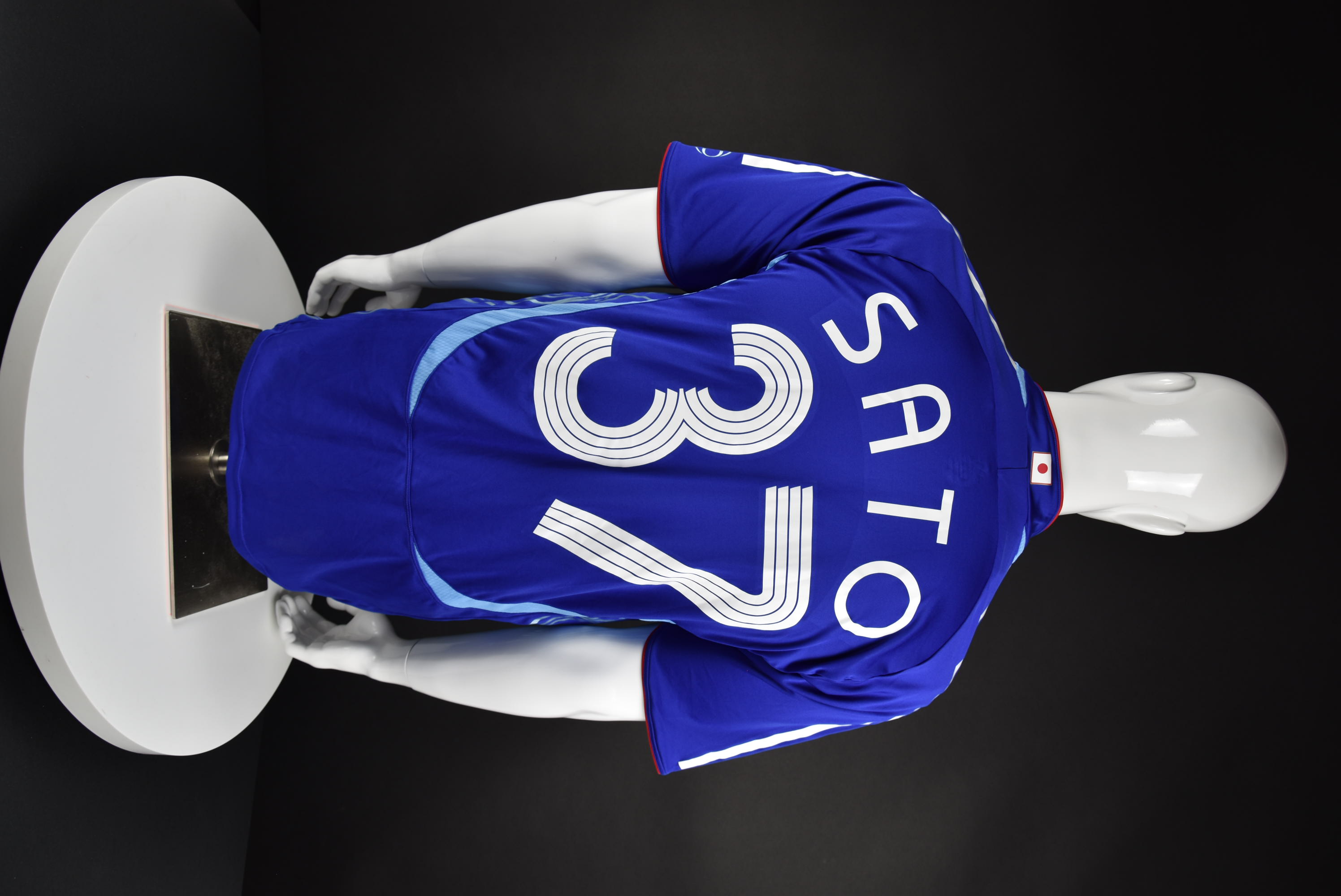 Хисато Сато back photo