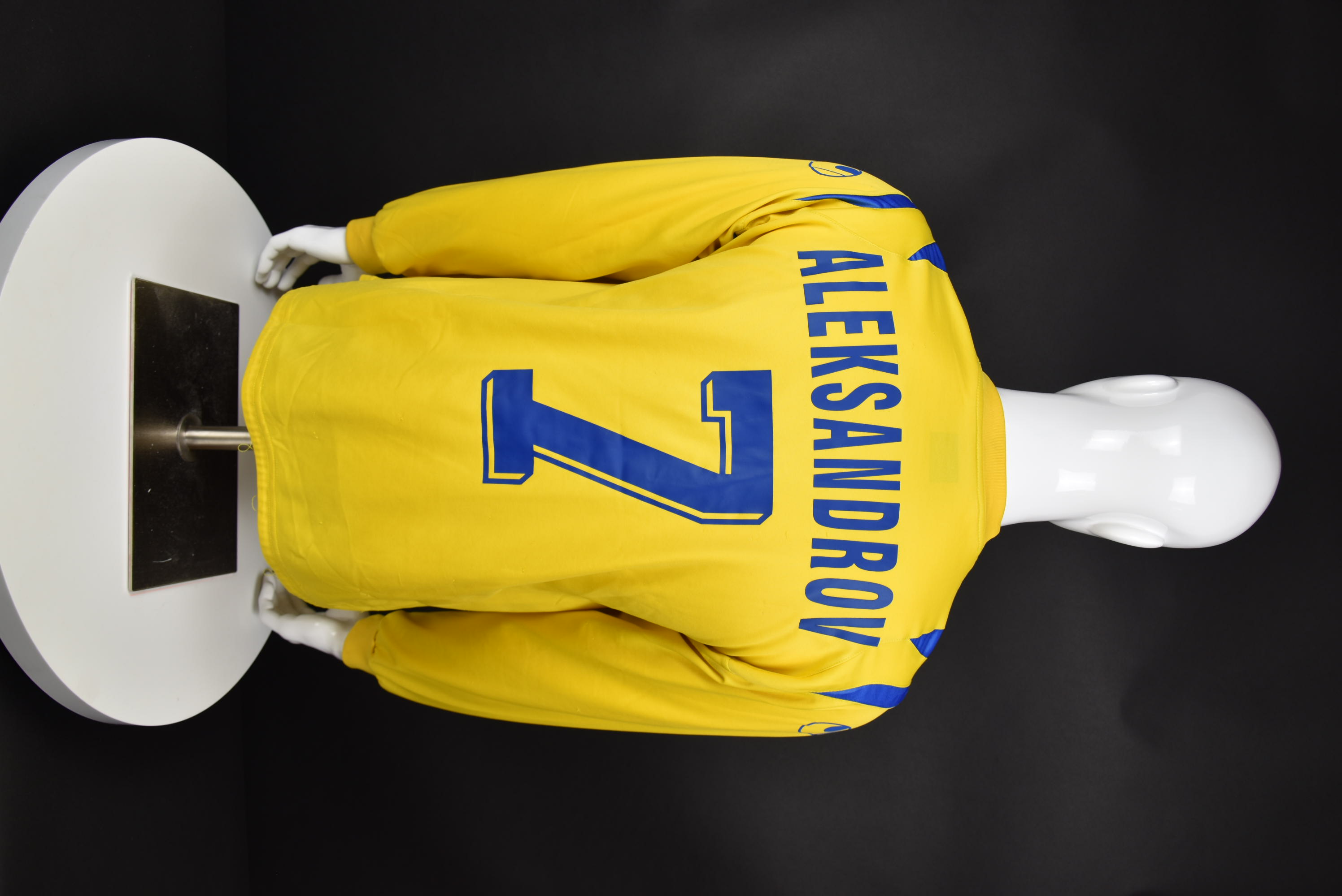 Александър Александров back photo