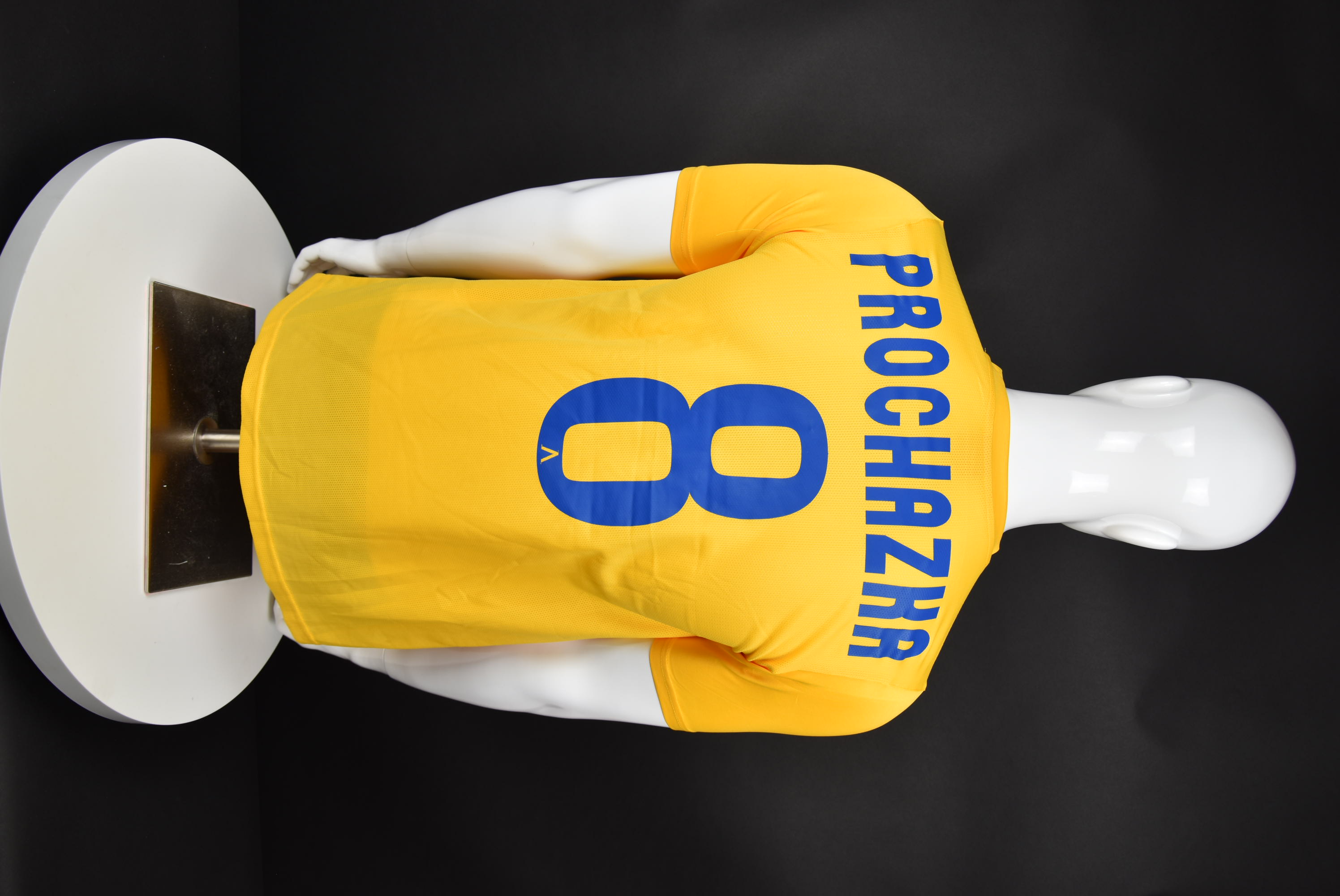 Роман Прохазка back photo