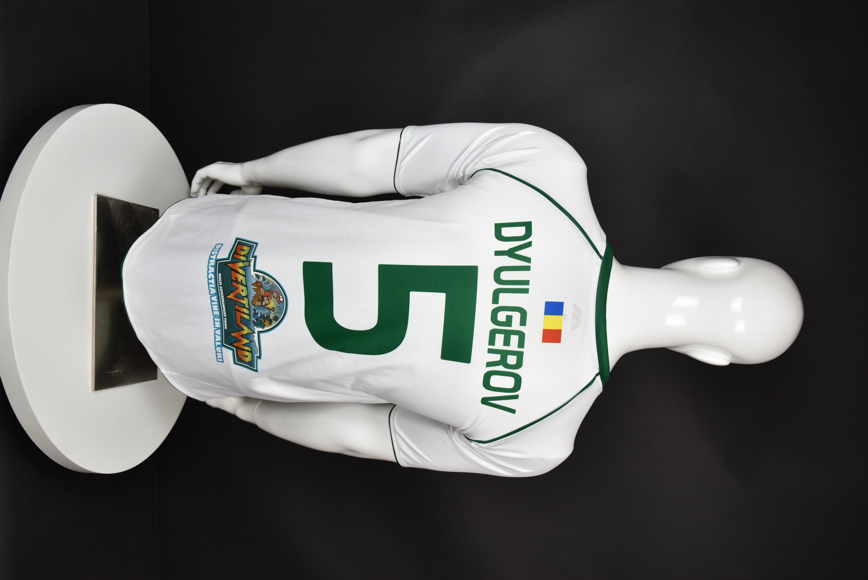 Александър Дюлгеров back photo