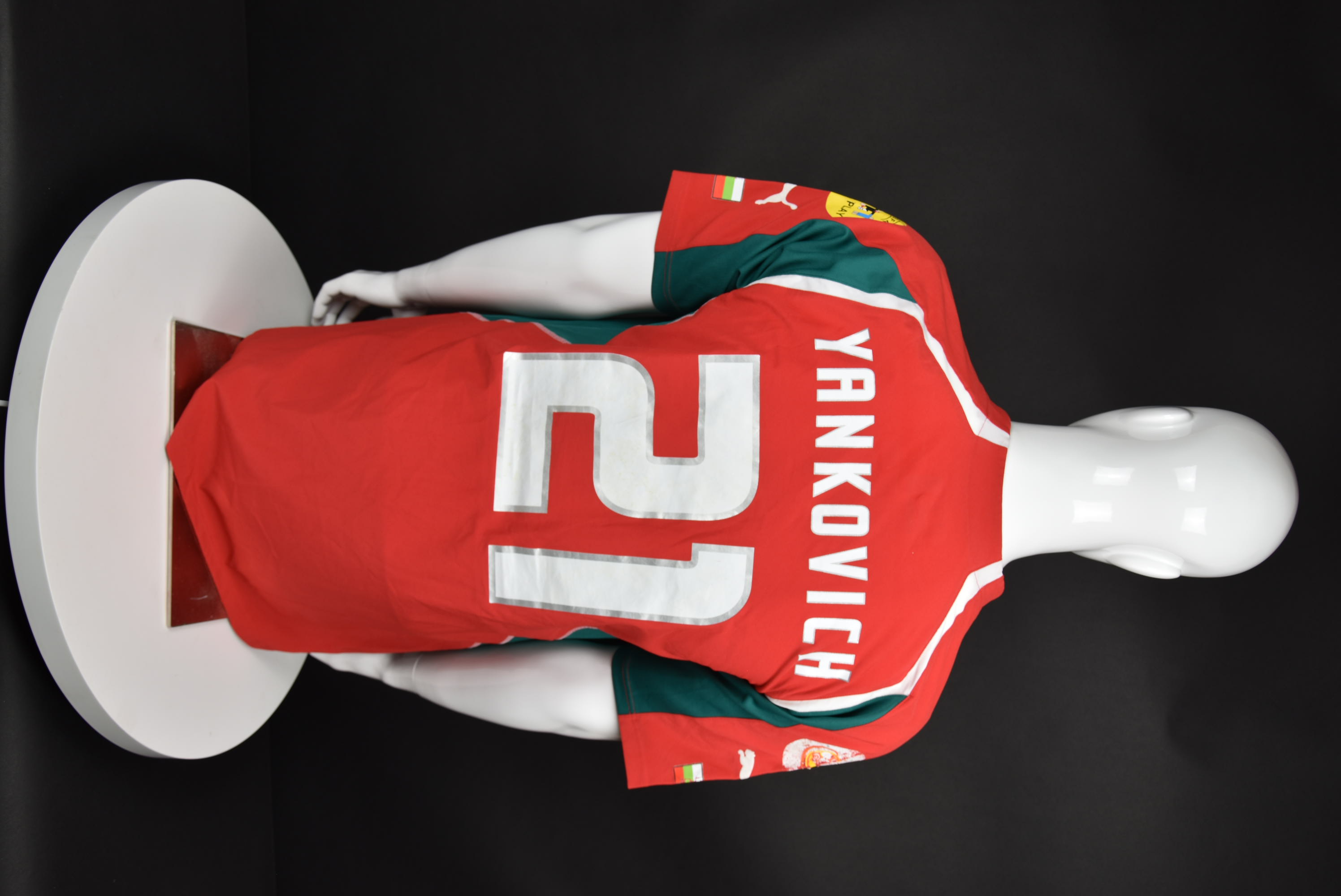 Зоран Янкович back photo