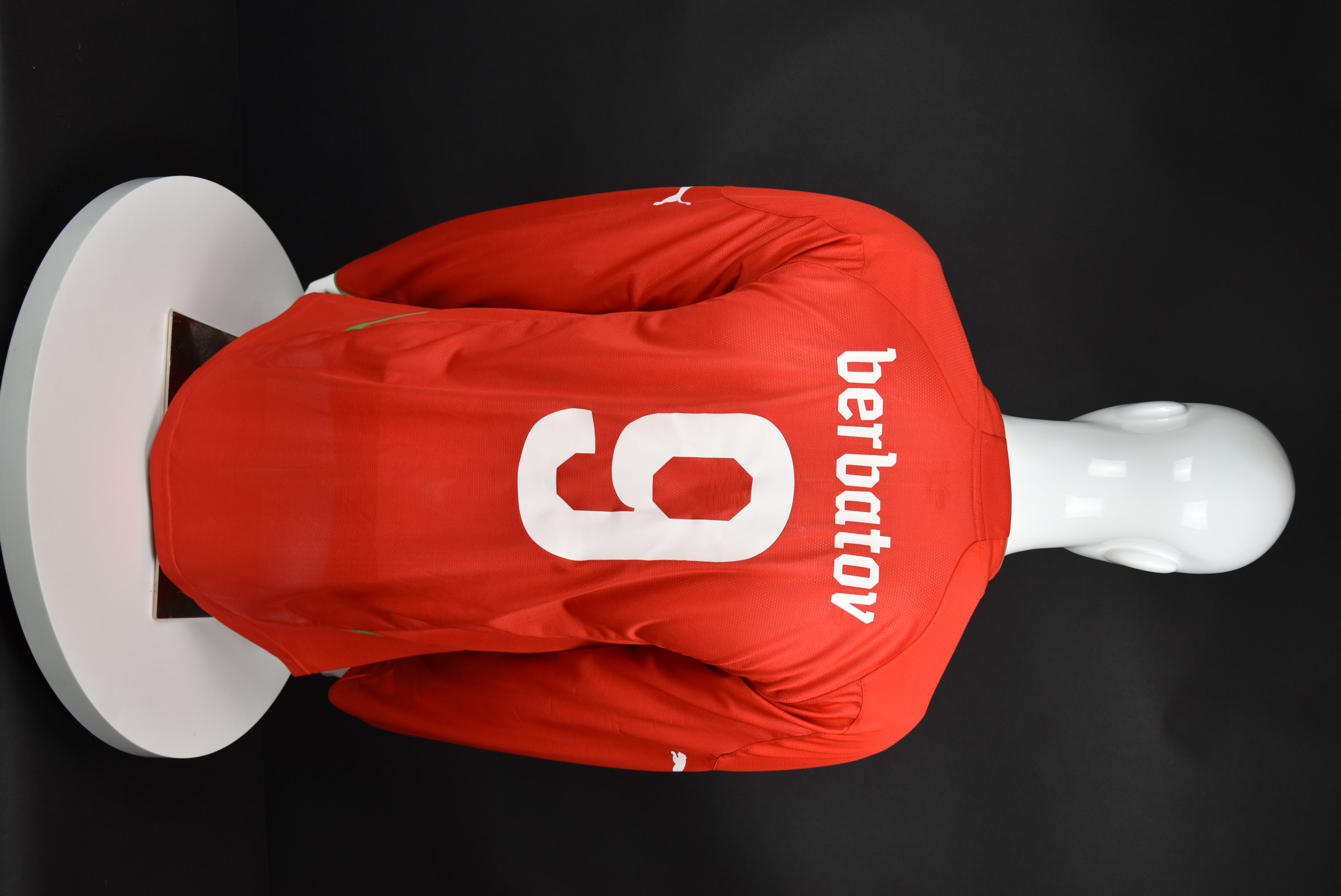 Димитър Бербатов back photo