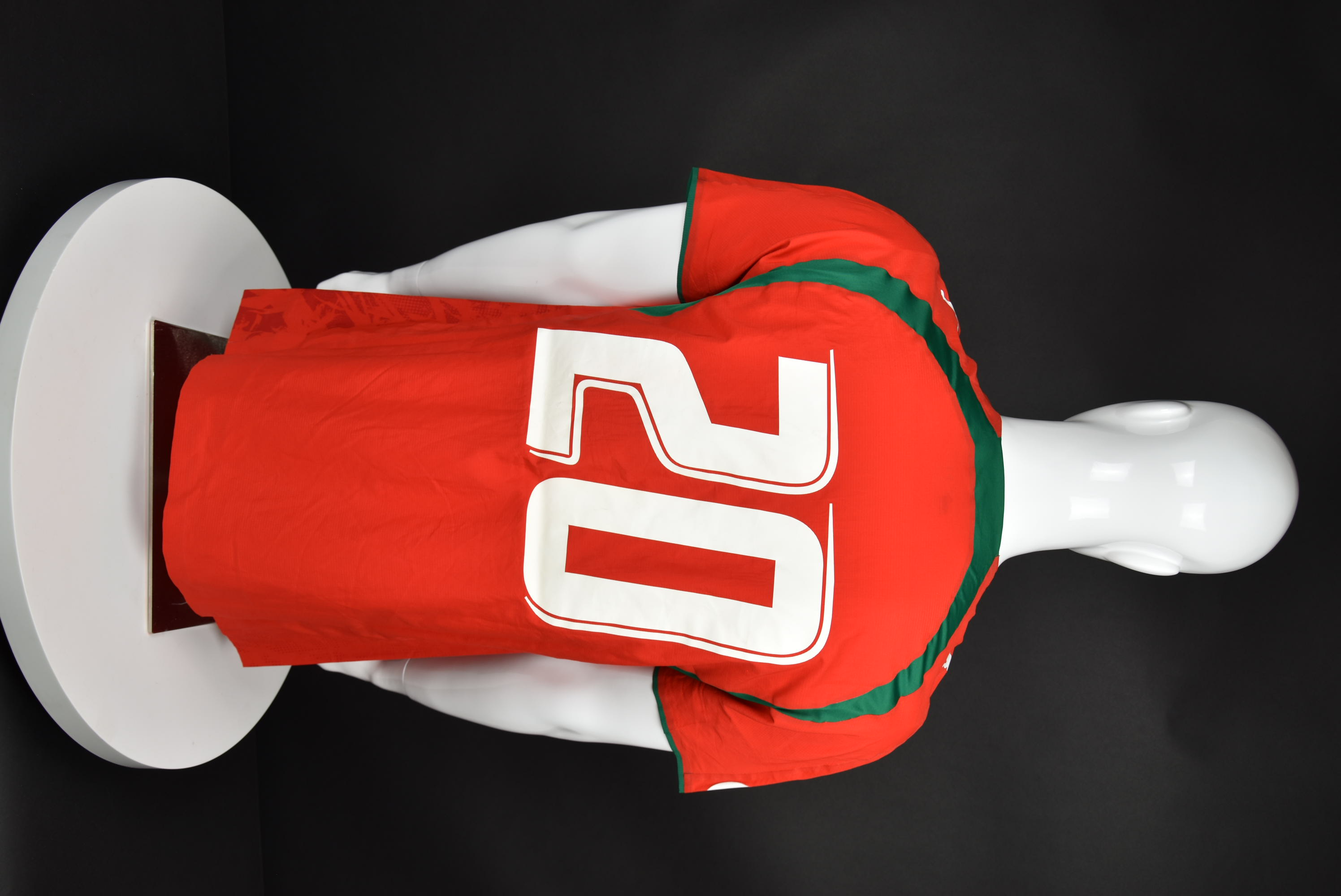 Ивелин Попов back photo