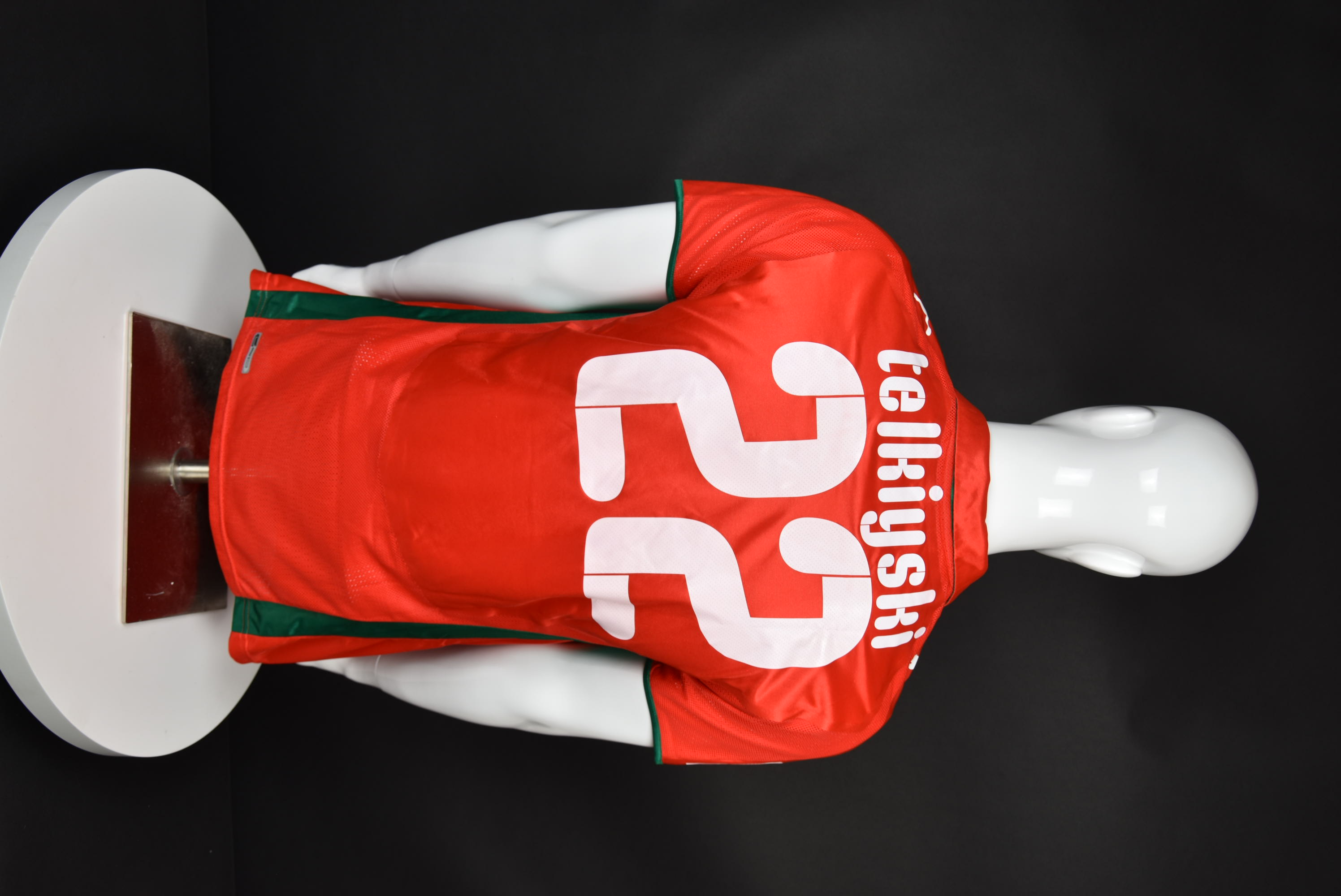 Димитър Телкийски back photo