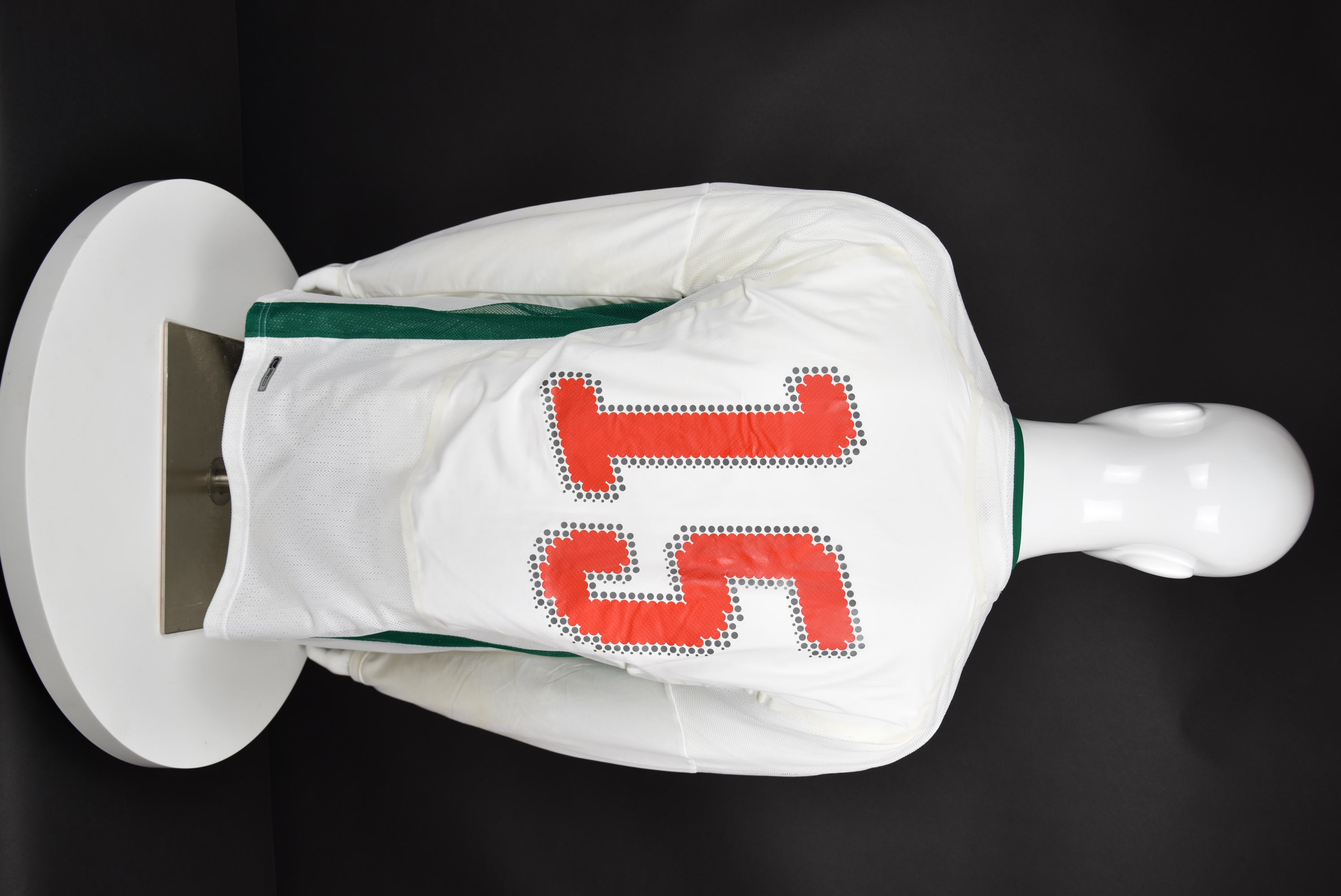 Благой Георгиев back photo