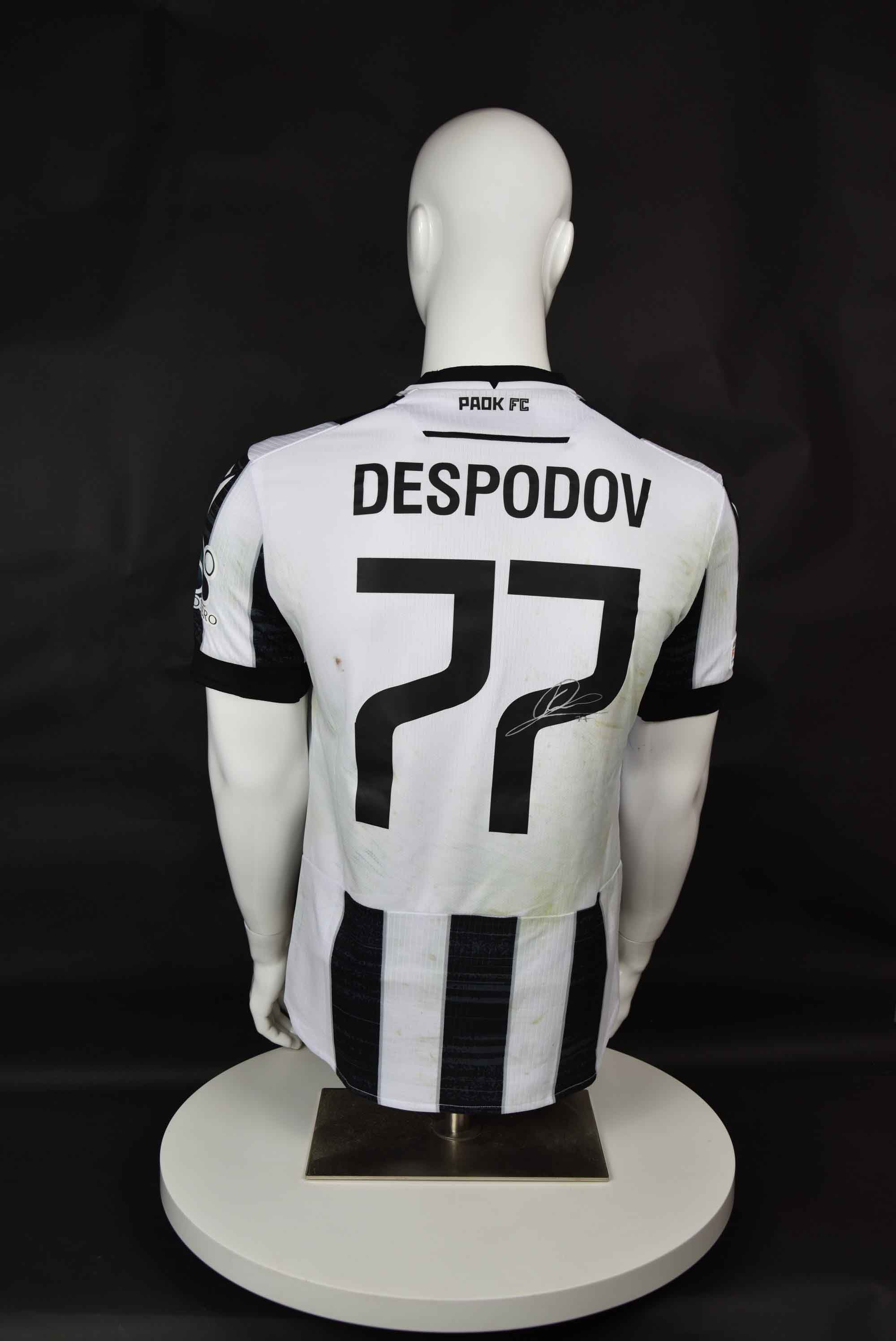 Кирил Десподов back photo