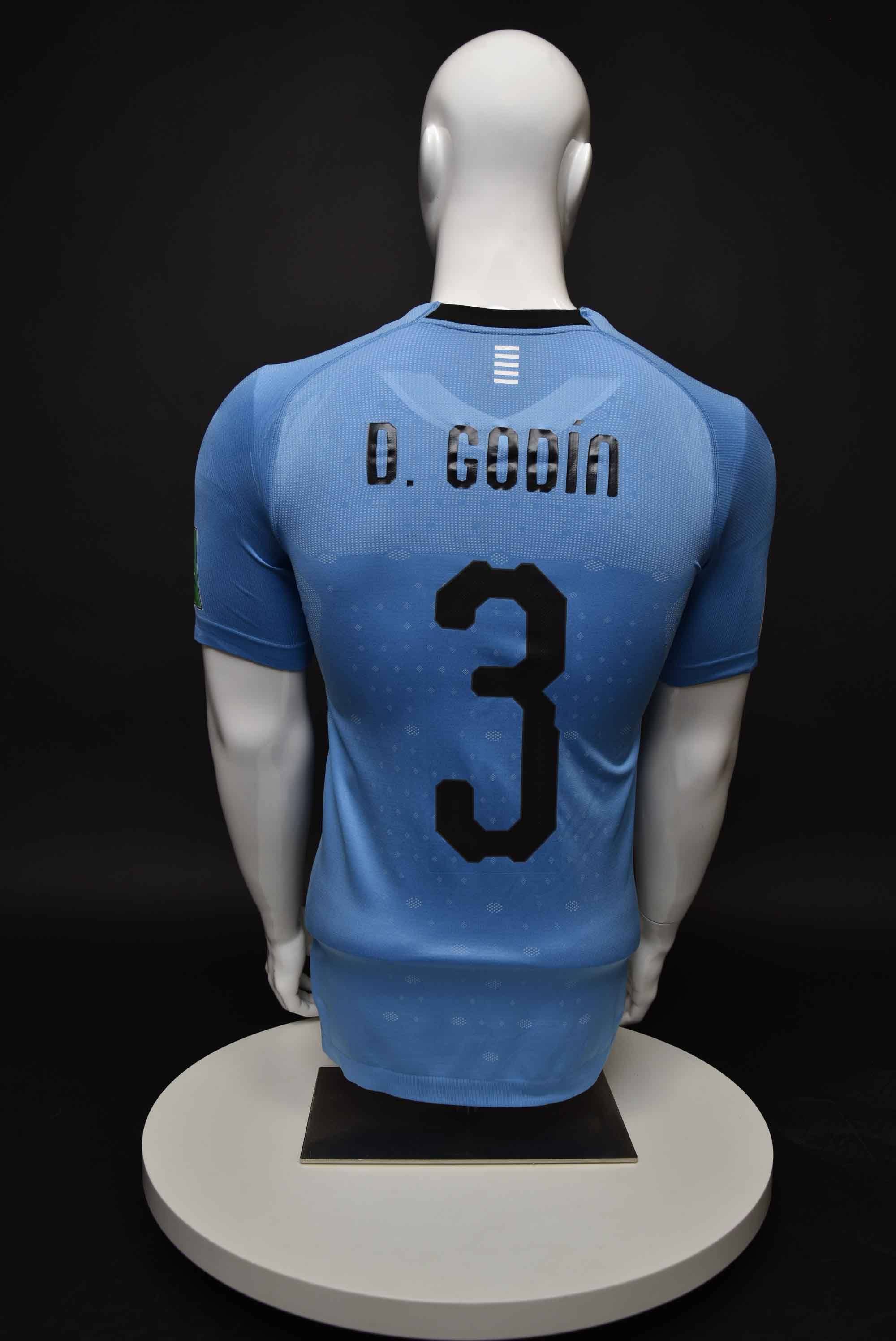 Диего Годин back photo